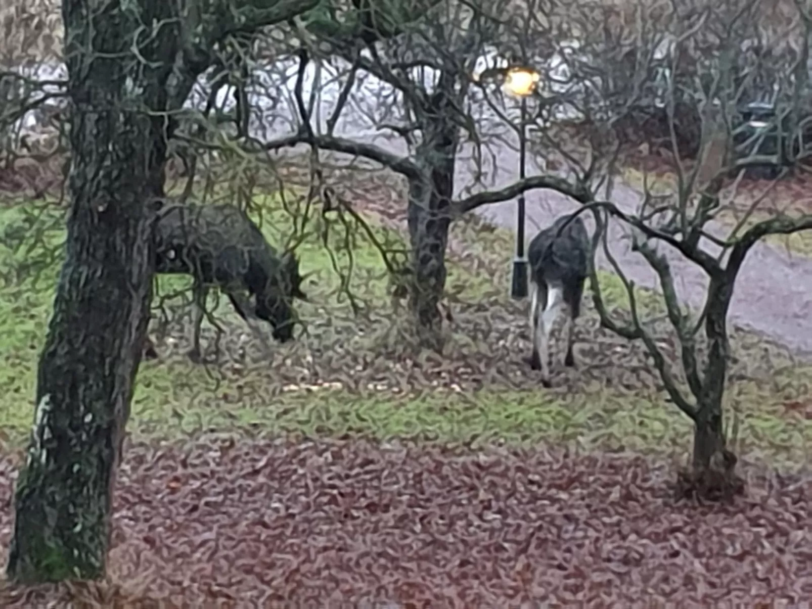 Schönes Ferienhaus am See Runn-Buiten
