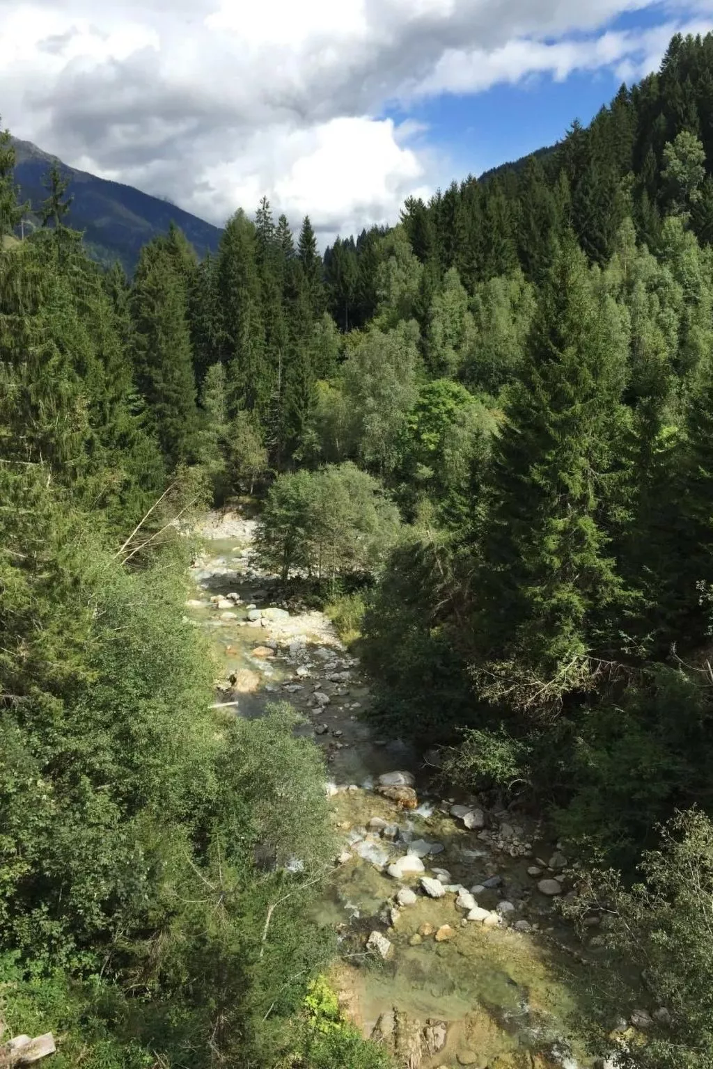 Gemütliche Ferienwohnung im Disentiserhof-Buiten