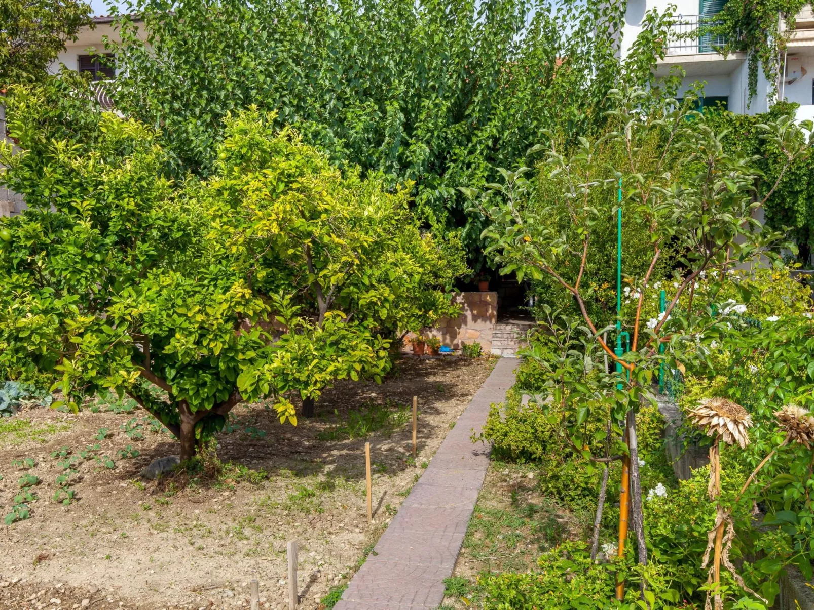 Maric mit Terrasse und Balkon-Buiten