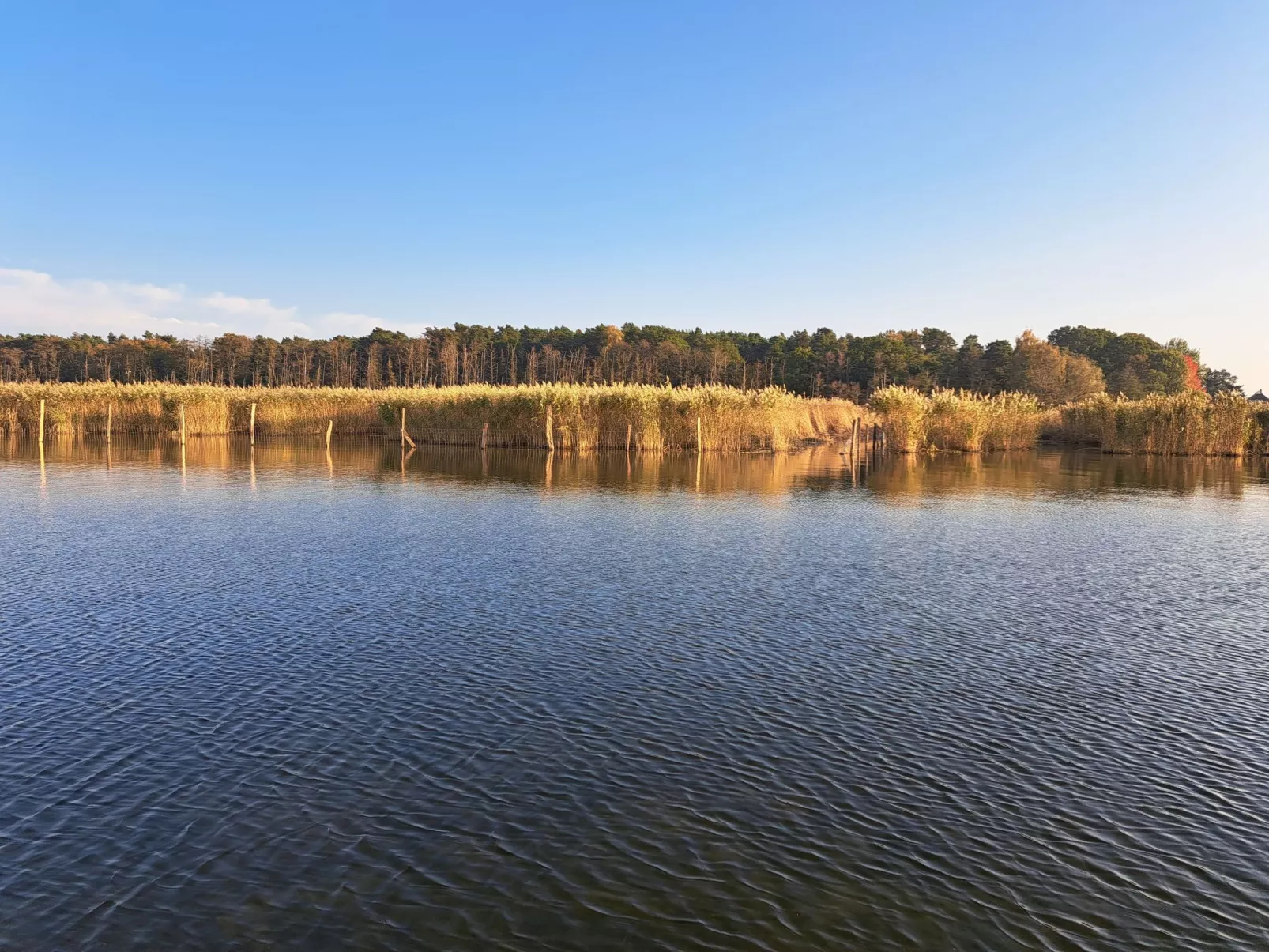 Mit Terrasse mitten im Grünen-Buiten