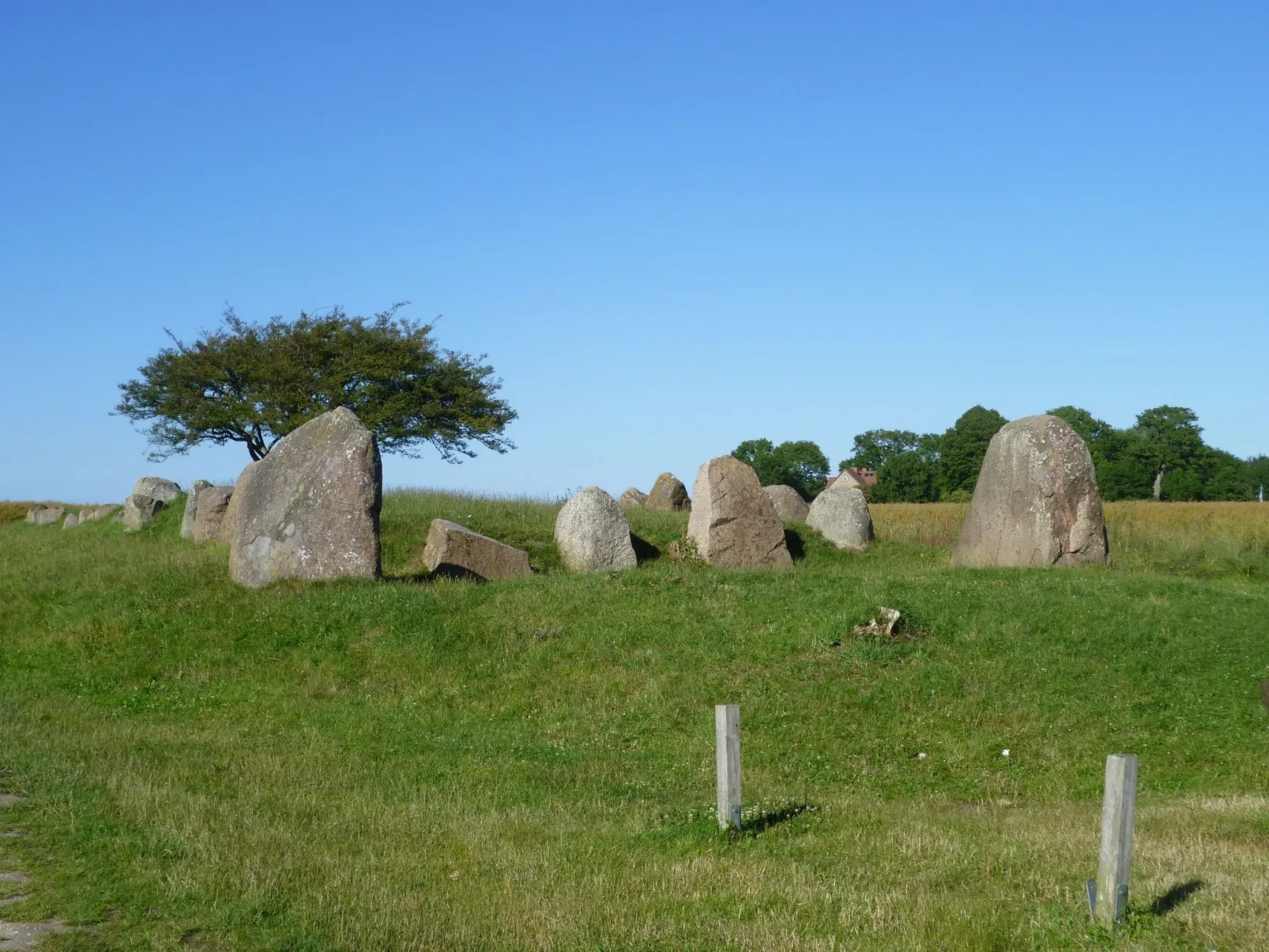 Toddy - Auszeit für Körper und Seele-Buiten