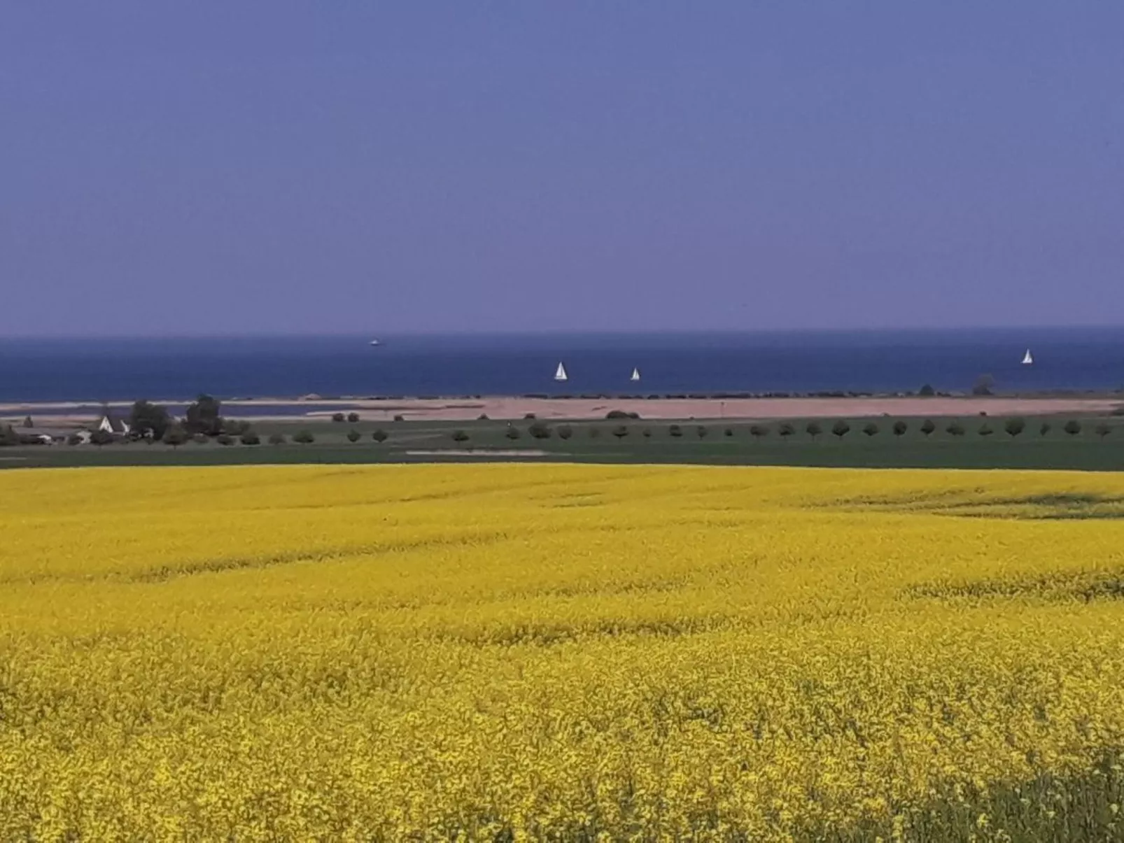 Bungalow "Lieschen"-Buiten