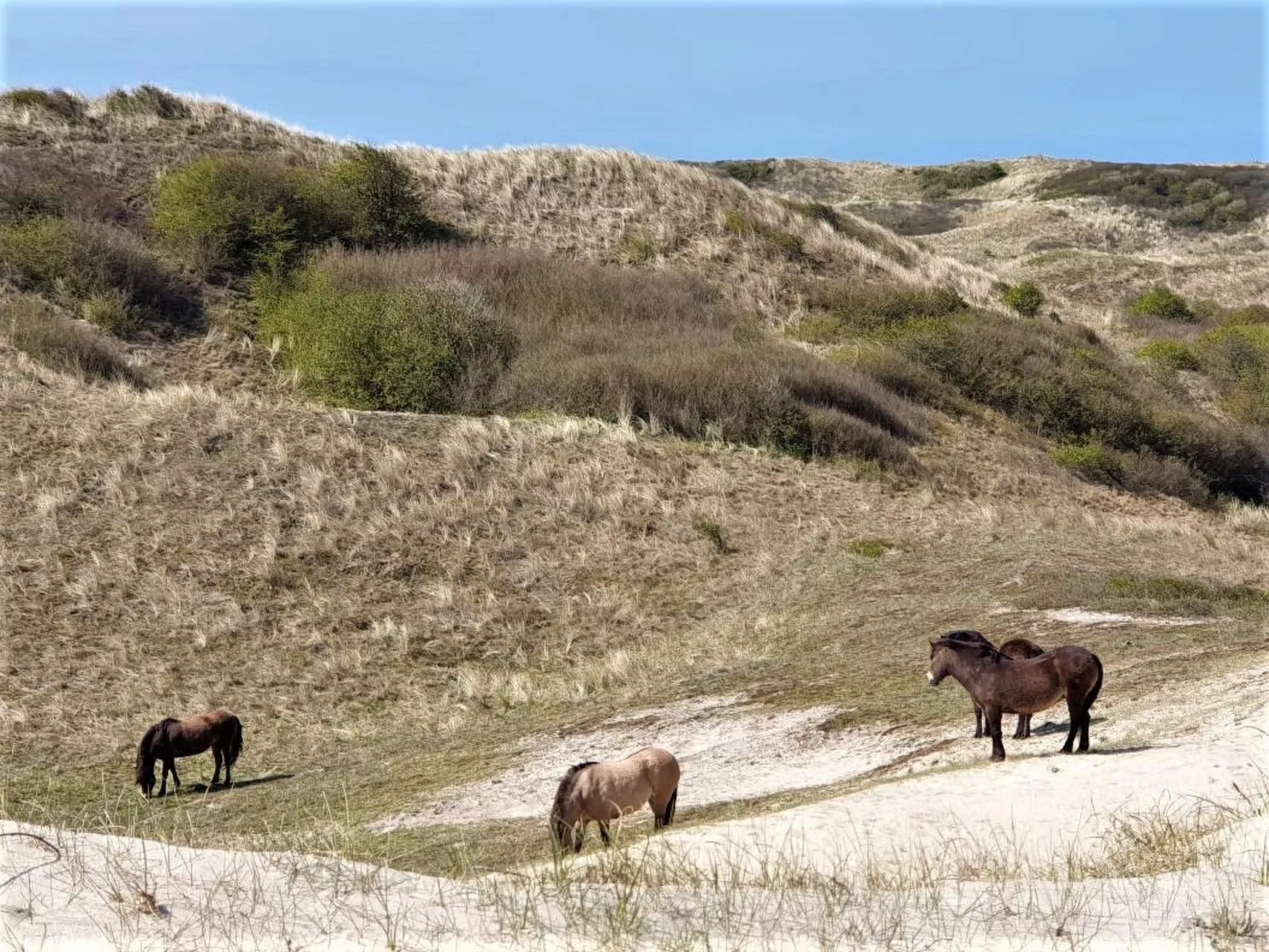 "Windhoos" mit privatem Garten und Terrasse-Image-tags.info