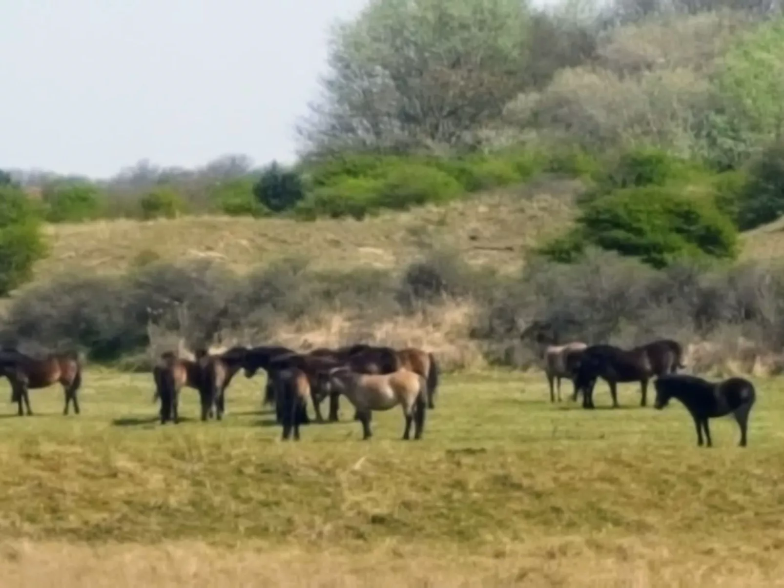 Sommerhaus Klein Wimmenum, Nähe Strand und Dünen-Buiten