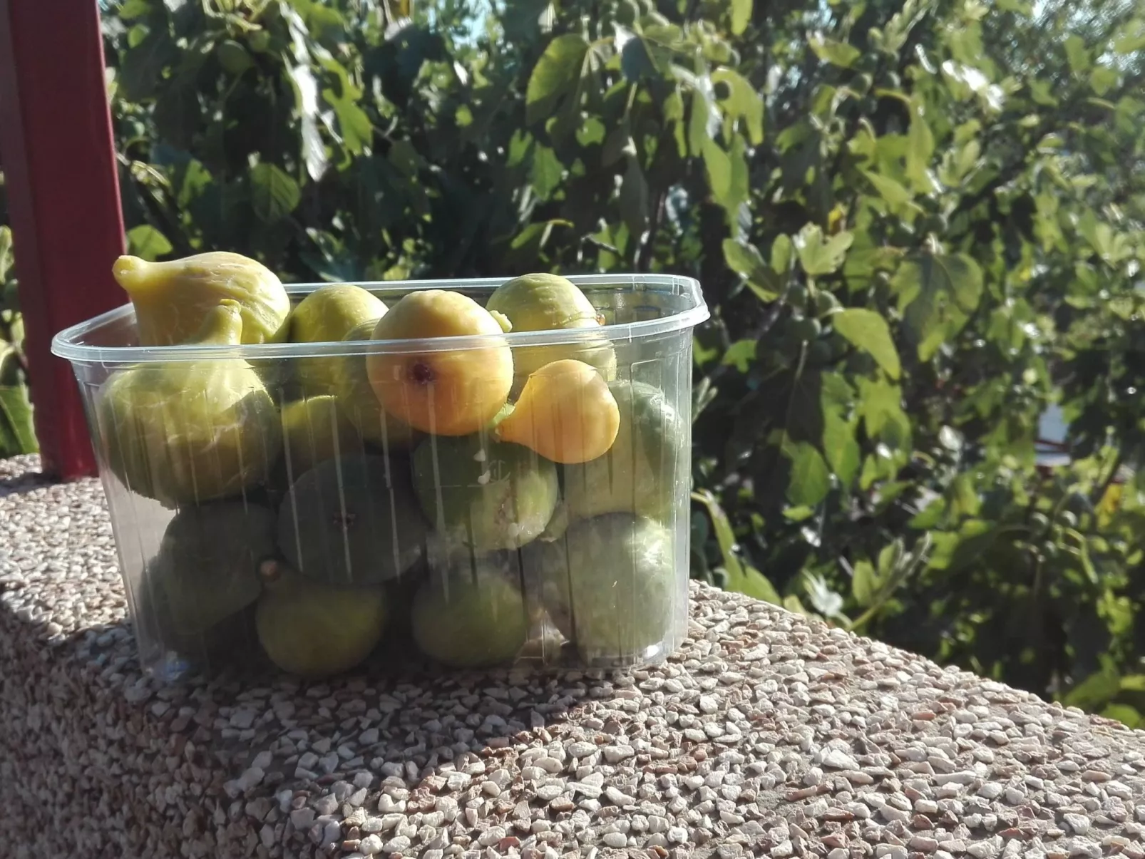 Wohnung mit Balkon und Meerblick-Image-tags.info