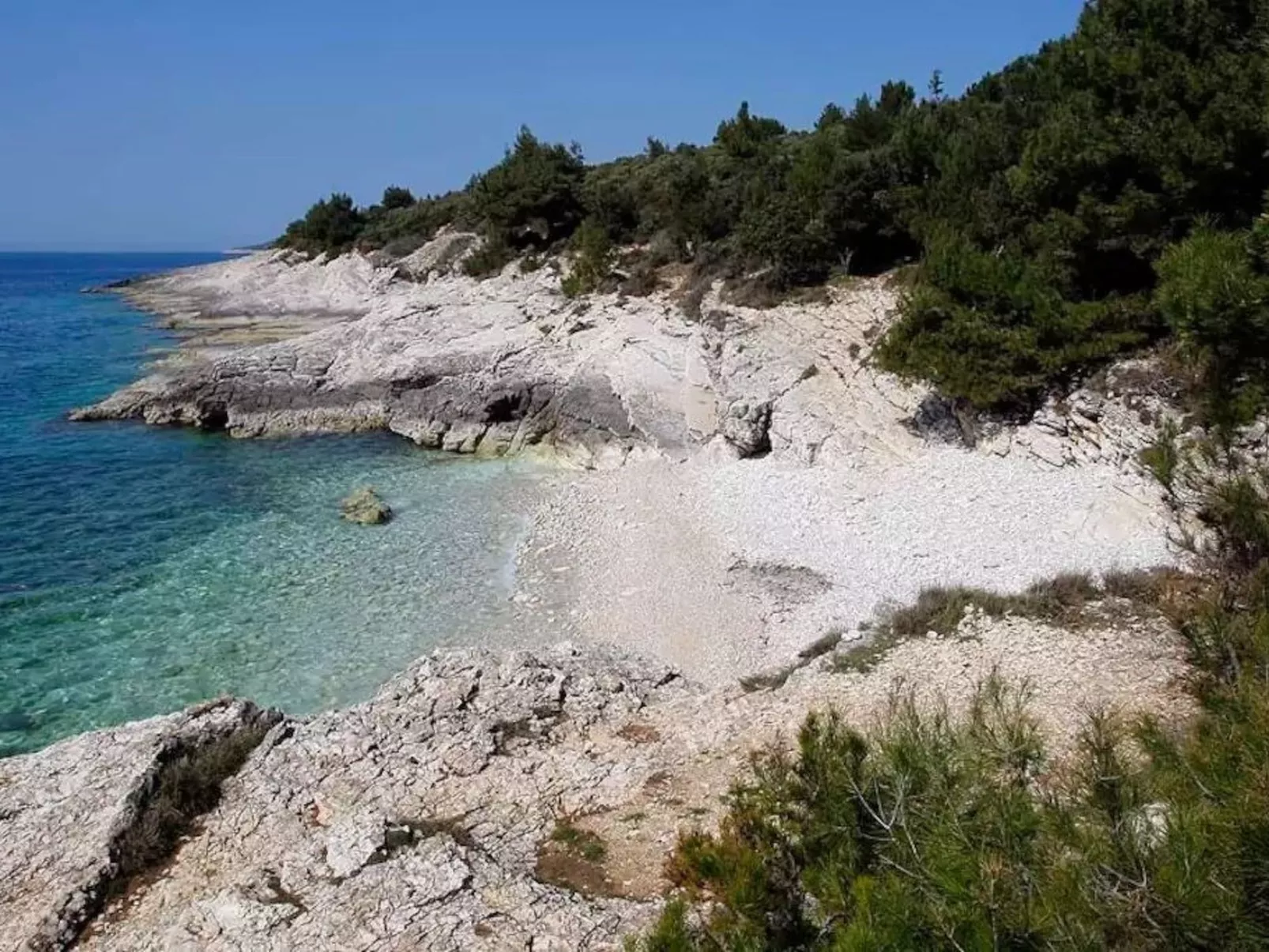 Wohnung mit Garten in der Nähe des Zentrums-Buiten