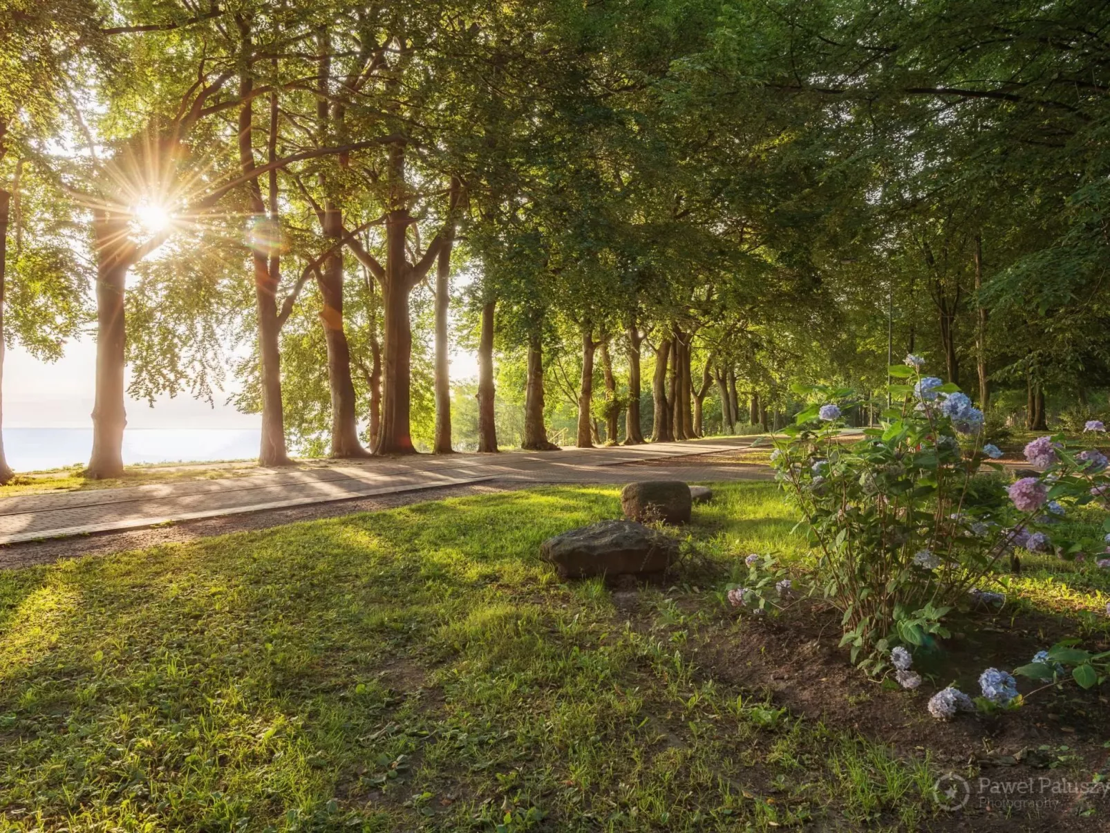 Moderne Ferienwohnung mit Balkon, nur 500 Meter von Meer und Strand entfernt-Buiten