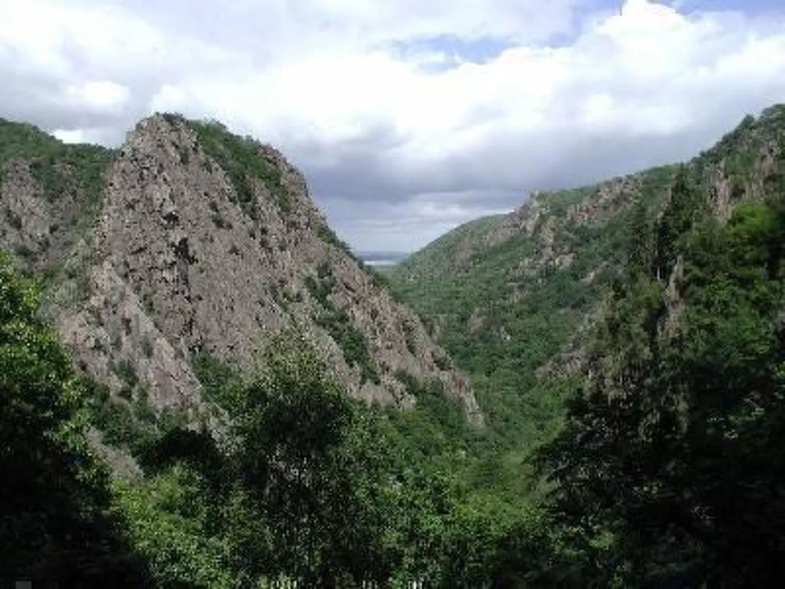 Gemütliche Wohnung in Altenbrak inkl Terrasse-Buiten