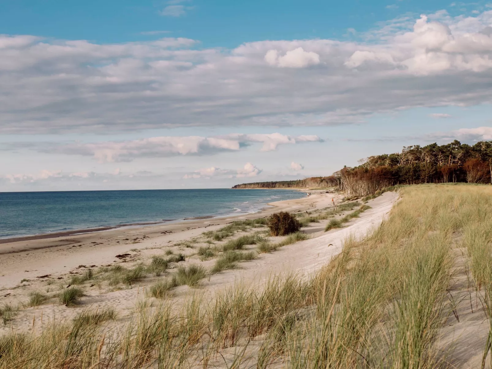 Admiral's Cor. Gulet-Buiten