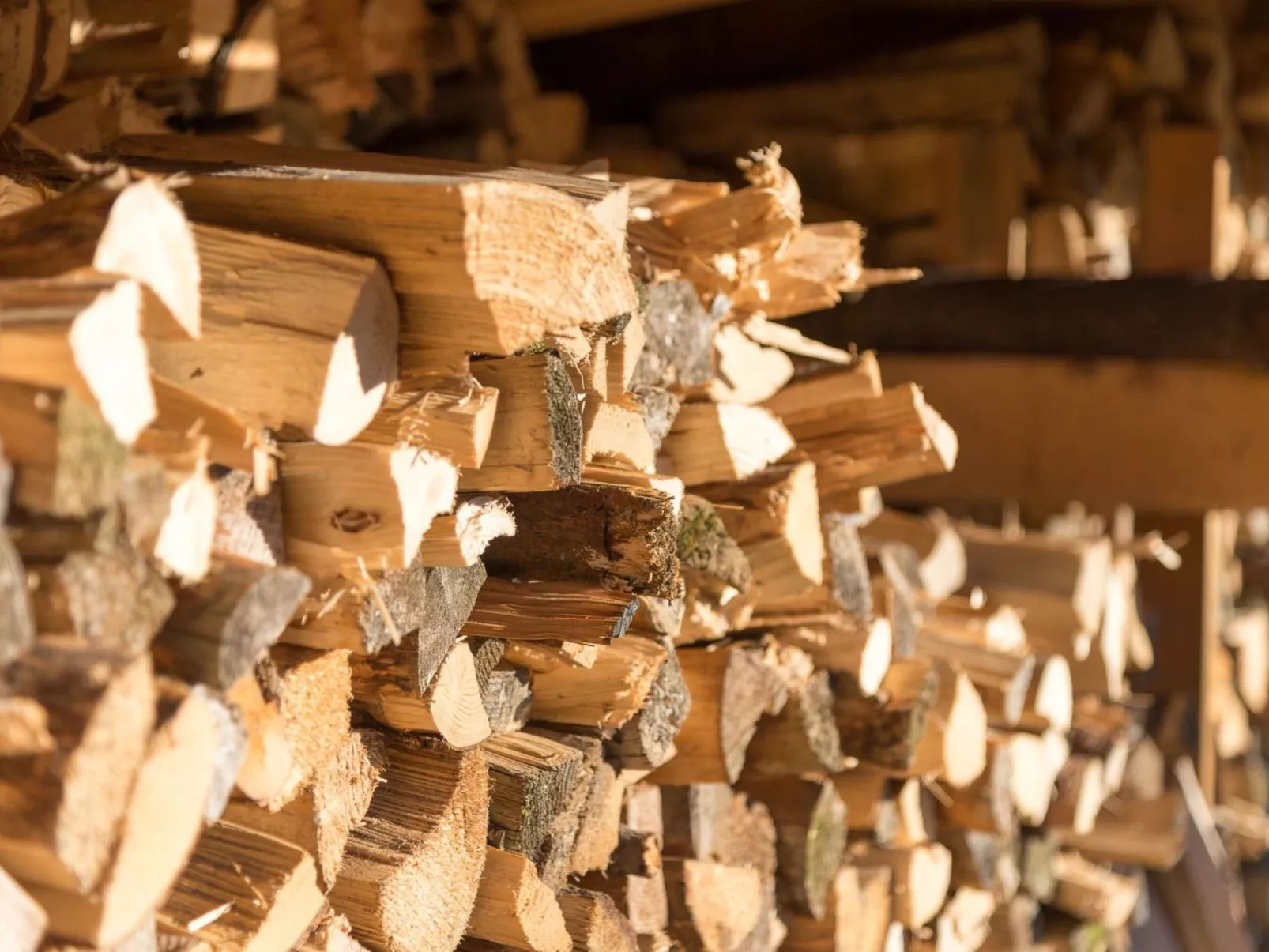 FORSTGUT - Raum für wertvolle Zeit-Buiten