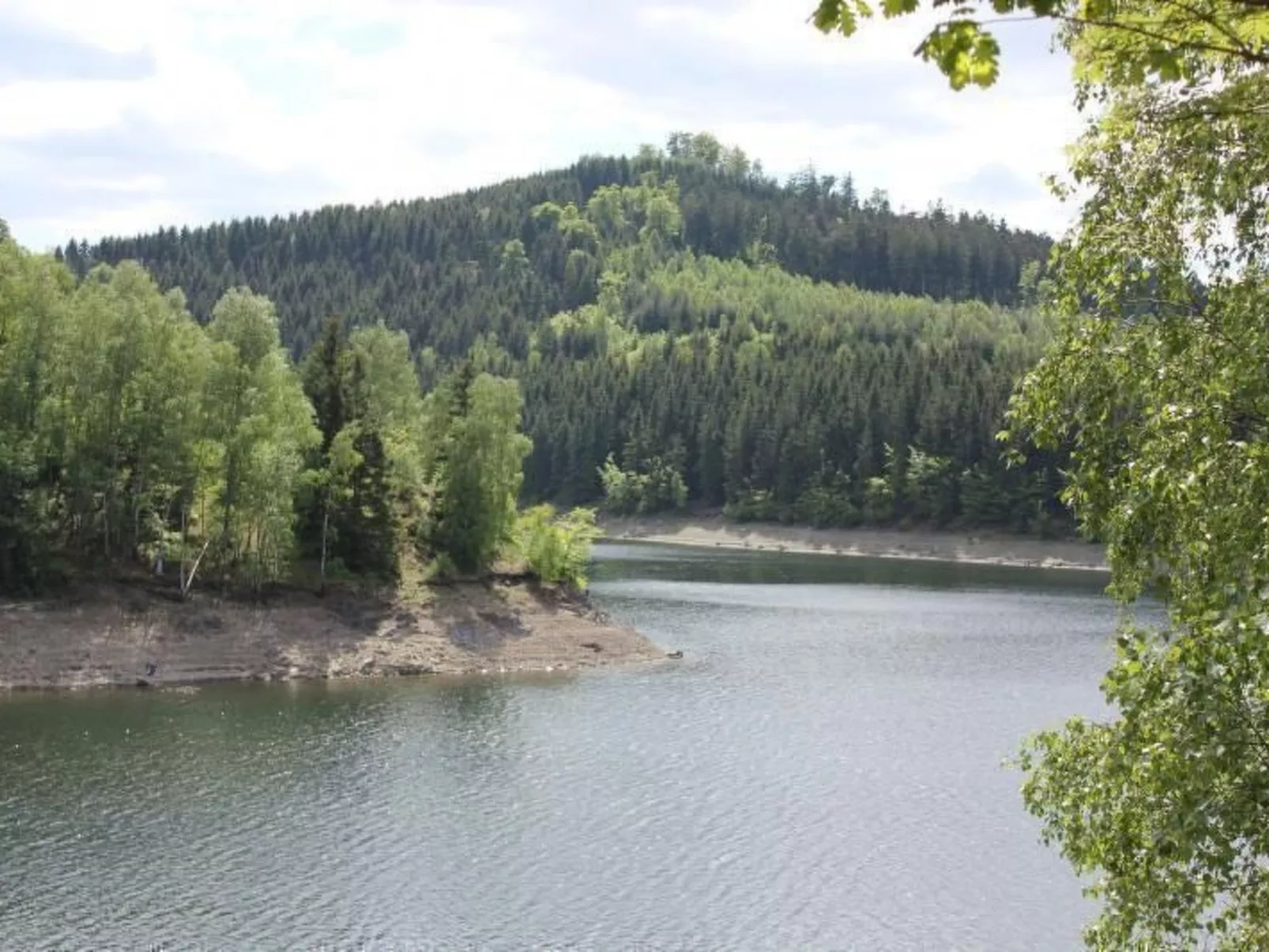 Drabik-Image-tags.info