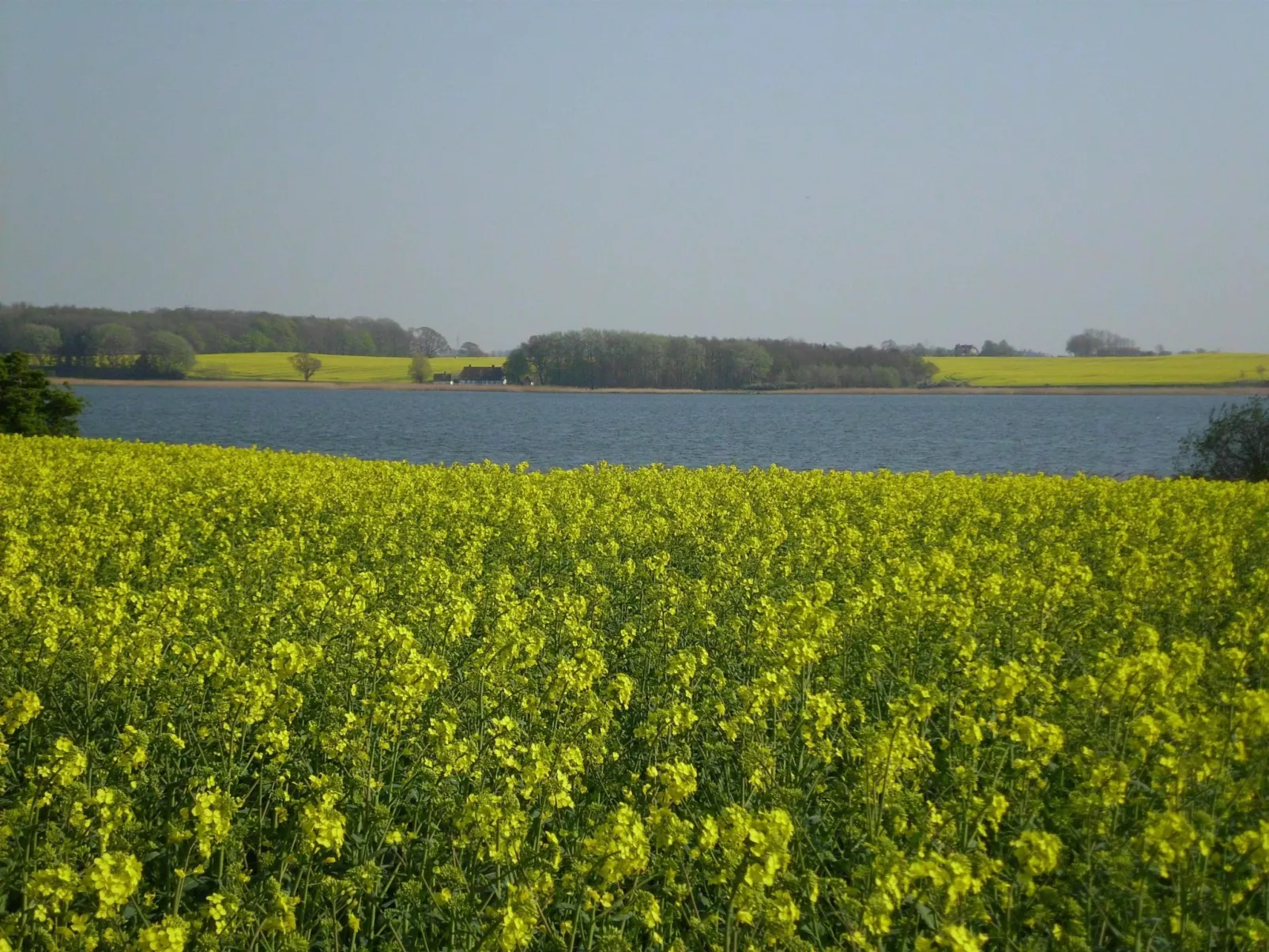 Wohnung in Kappeln mit Terrasse-Buiten