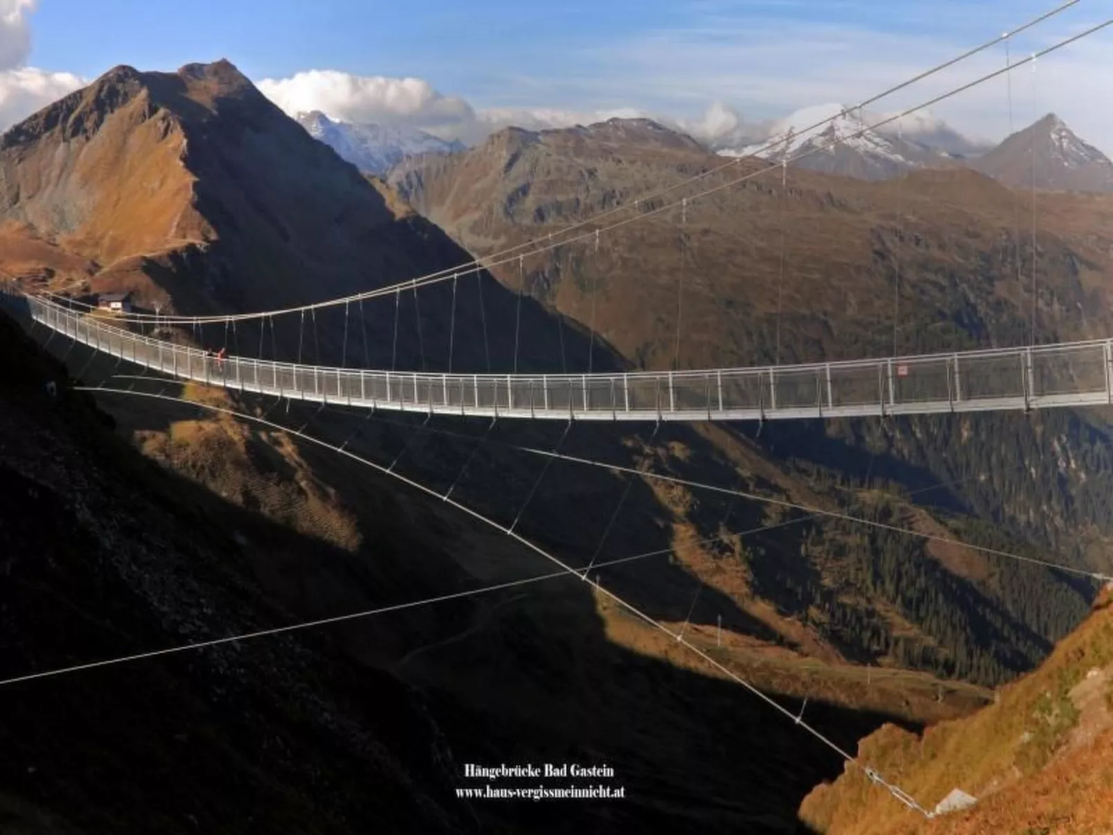 Bernstein-Image-tags.info