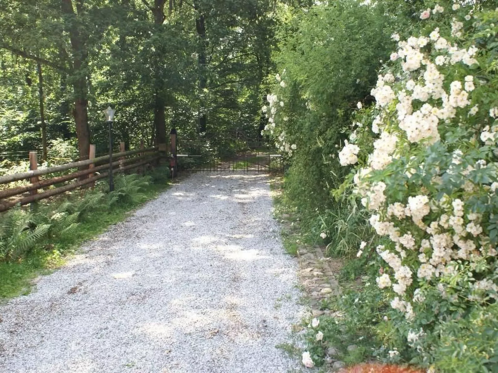 Mit Balkon, Terrasse und Garten-Image-tags.info