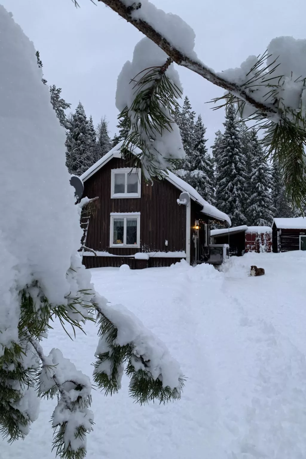 Gemütliches Ferienhaus am Polarkreis-Buiten