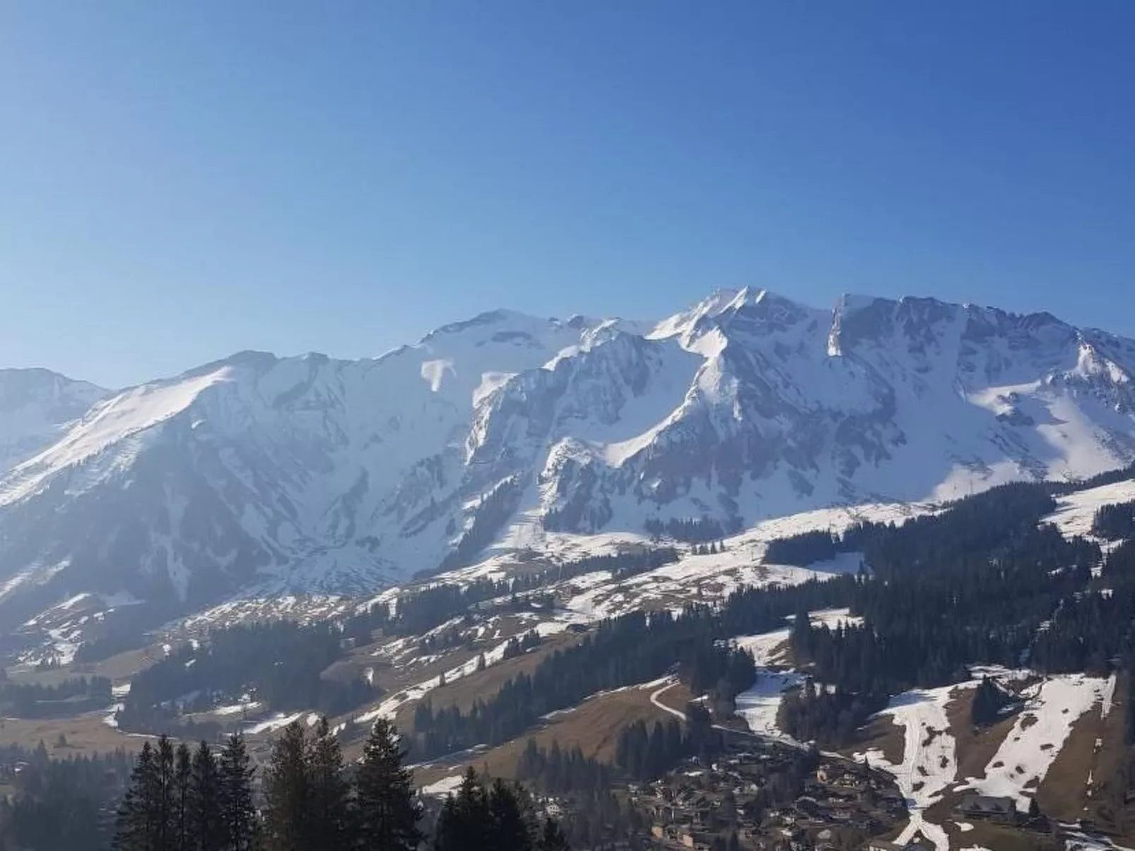 Kolibri Hochparterre-Buiten