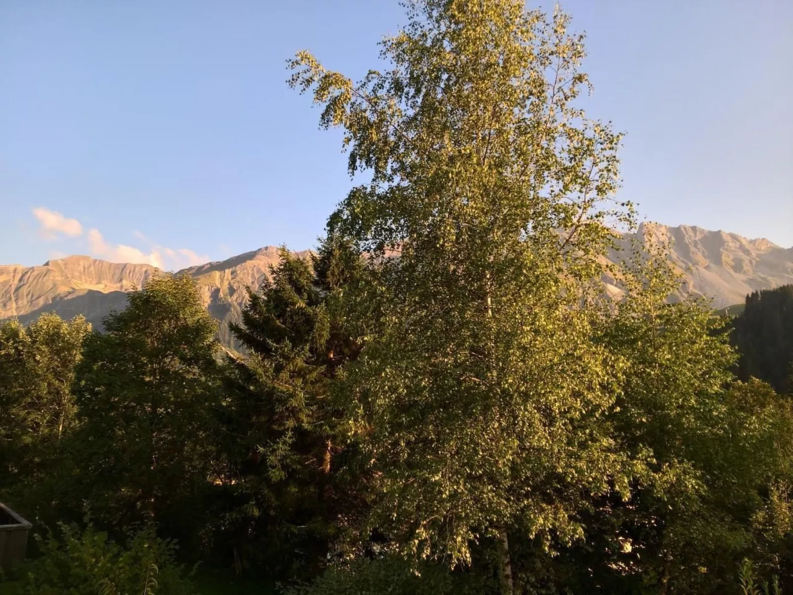 Hasegässli 12-Buiten