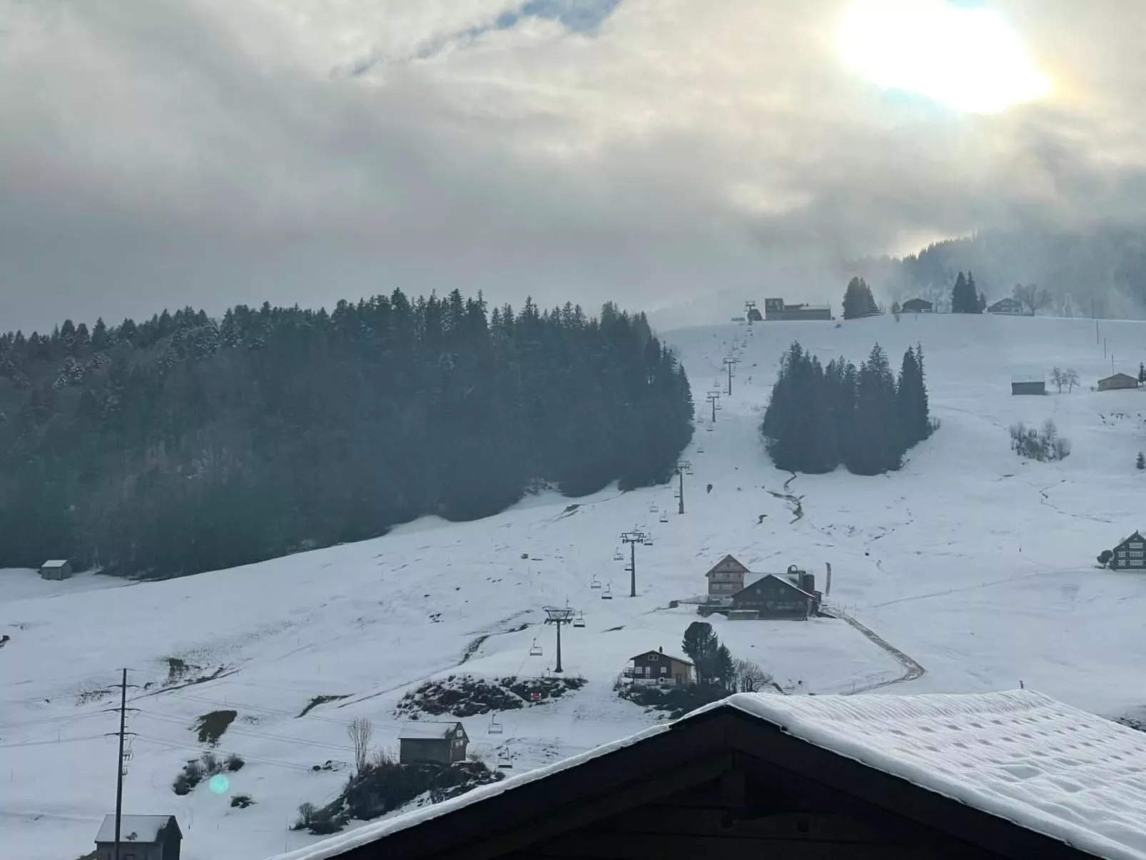 Friedegg-Image-tags.info