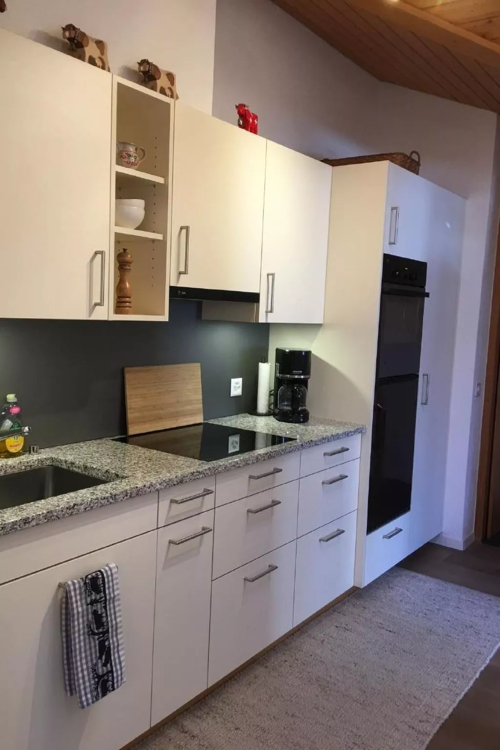 Katharina von Allmen-Binnen