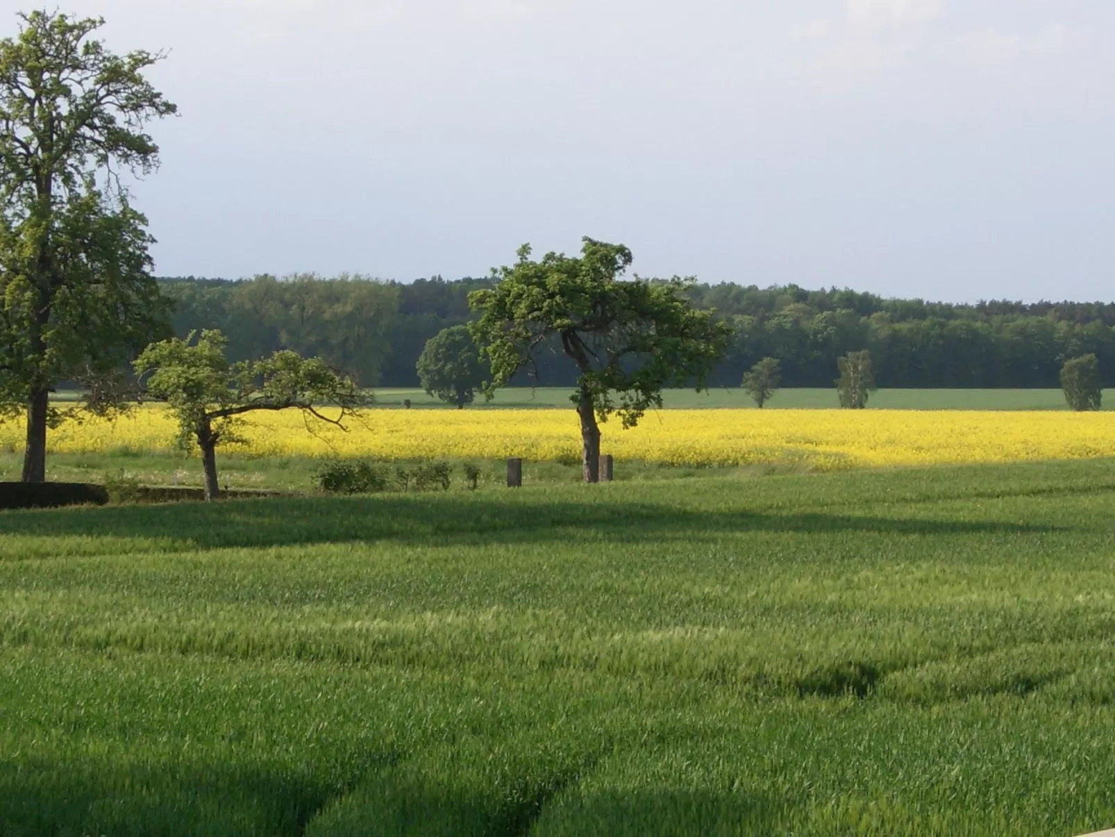In Volksdorf mit Großer Terrasse-Image-tags.info