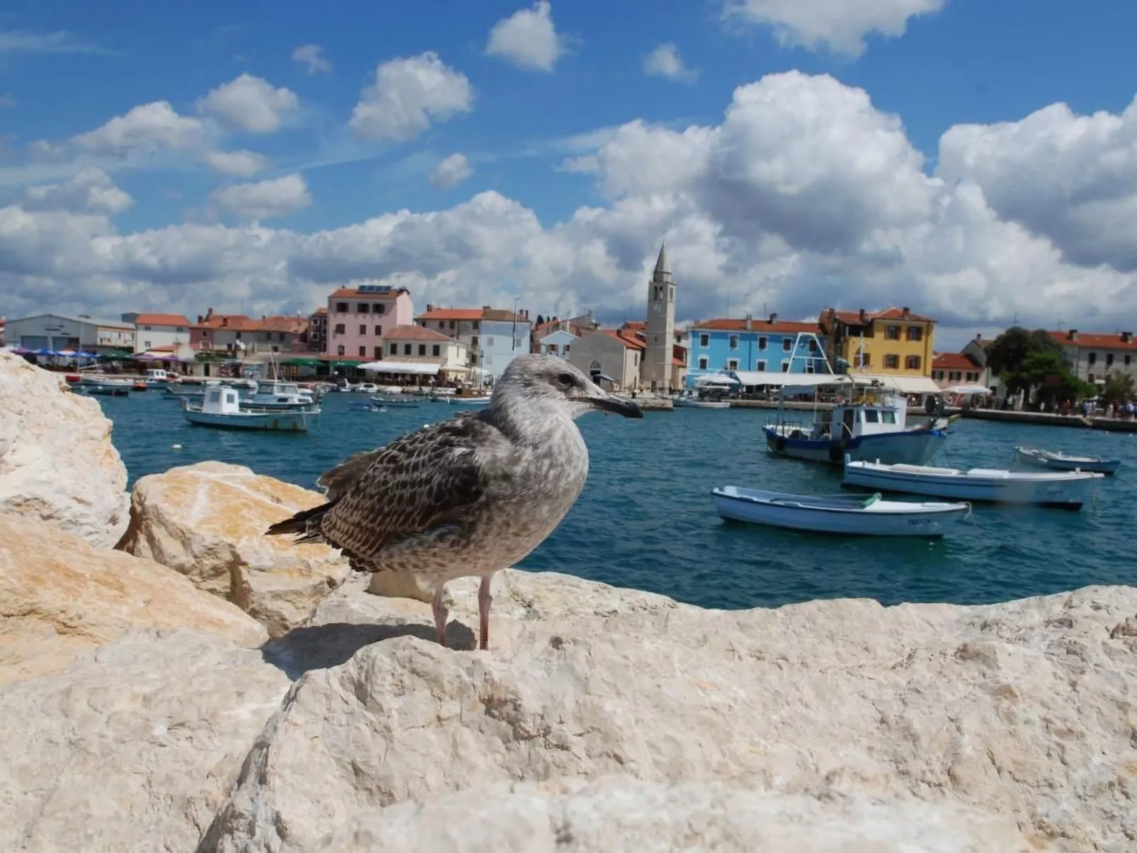 Studio-Apartment in Stinjan, 600 m vom Strand entfernt-Buiten