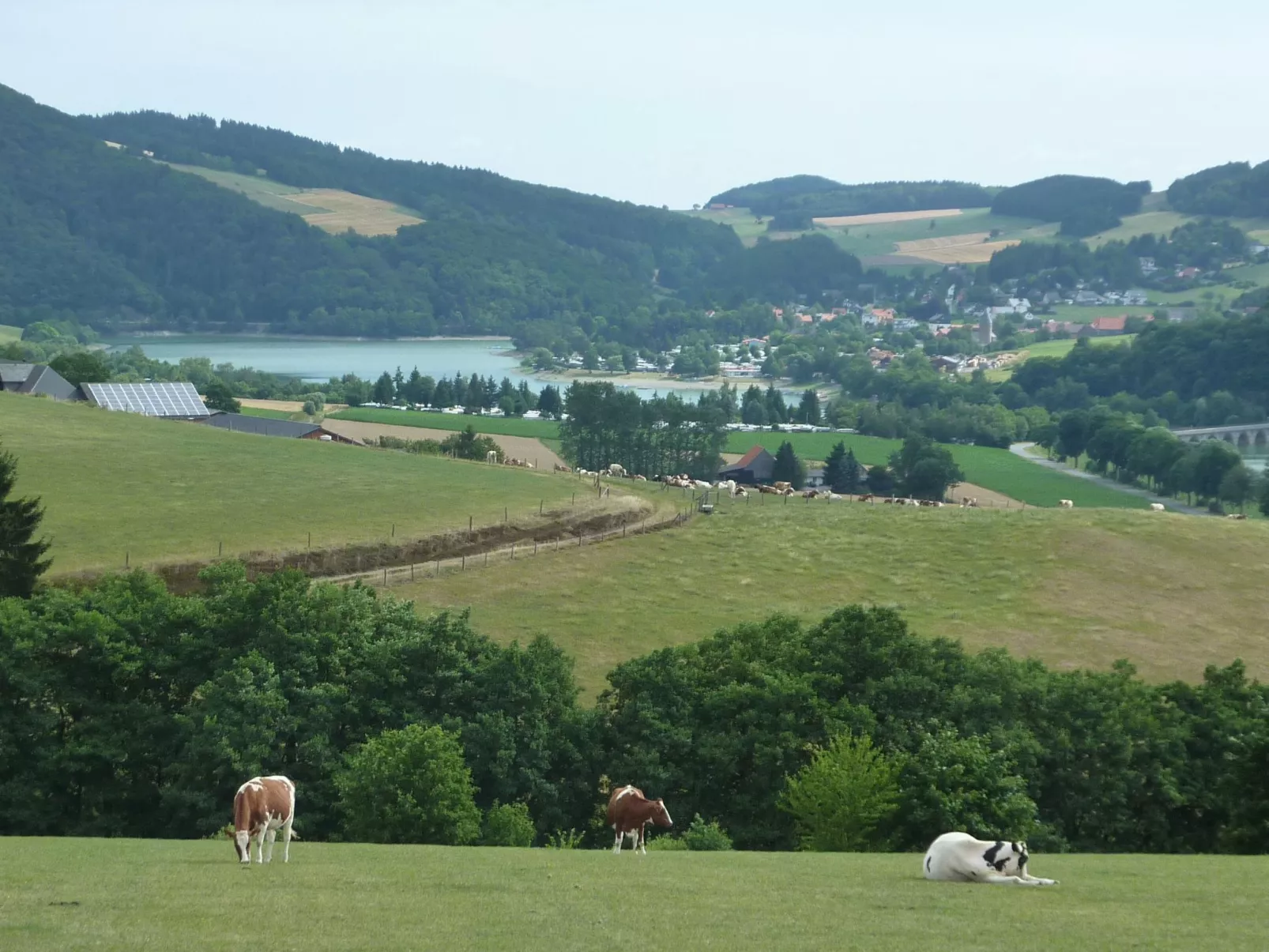 Ferienhas Diemelsee-Image-tags.info