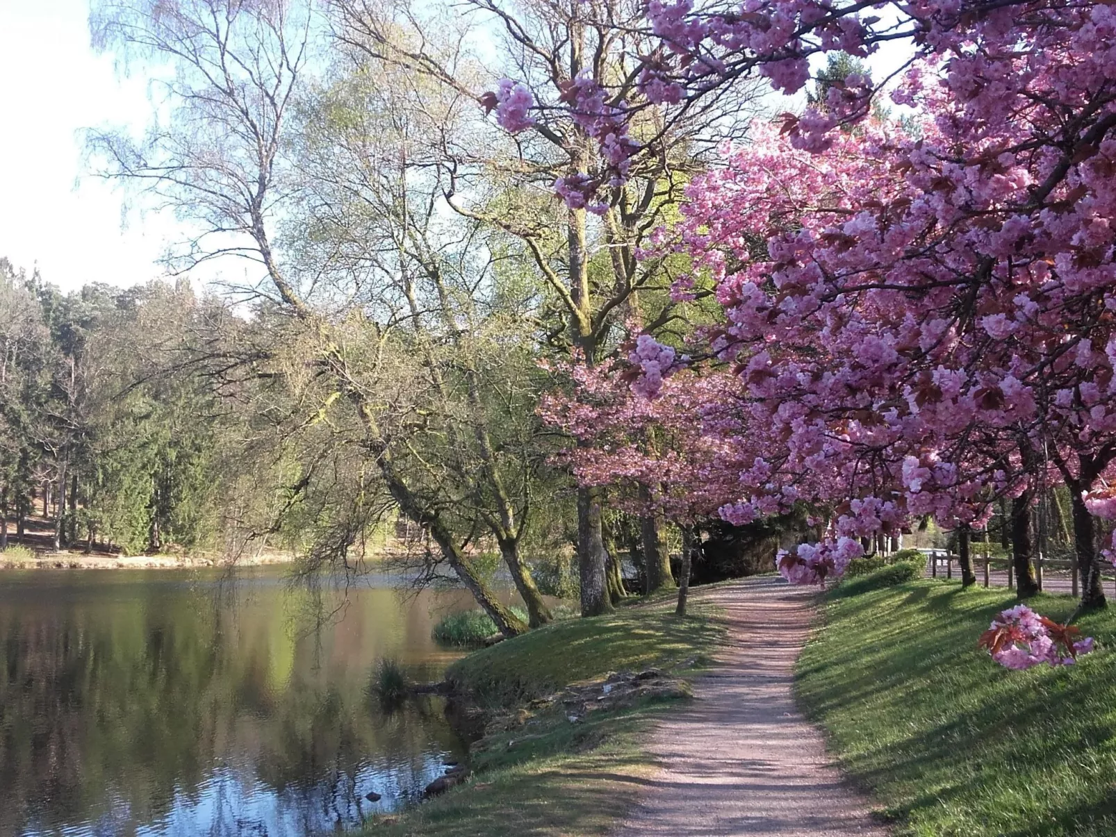 LES BRIMBELLES-Buiten