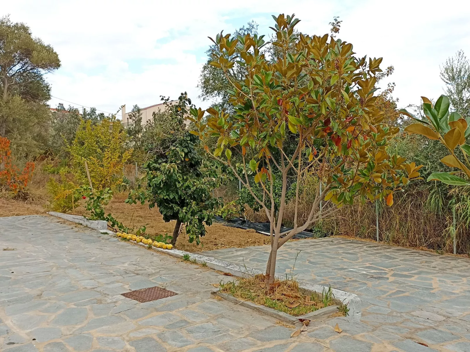 "Villa siesta" in Strandnähe-Buiten