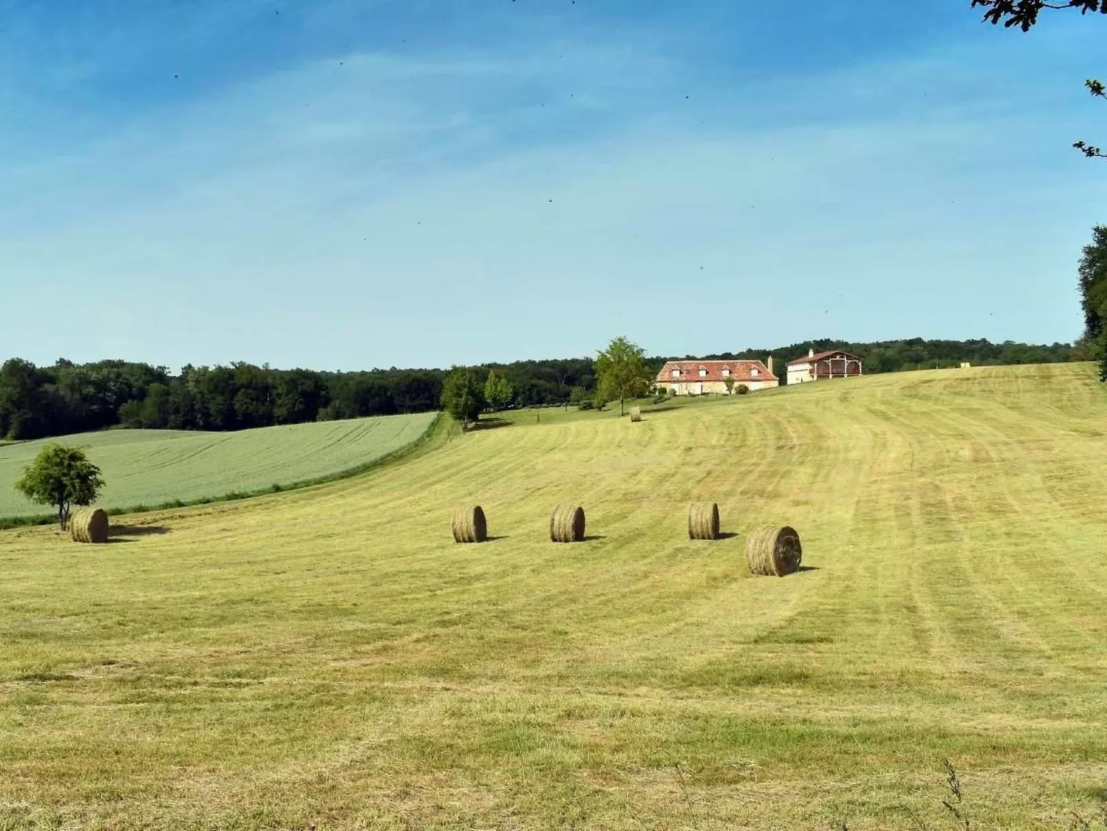 Domäne "Domaine de Ravel"-Buiten