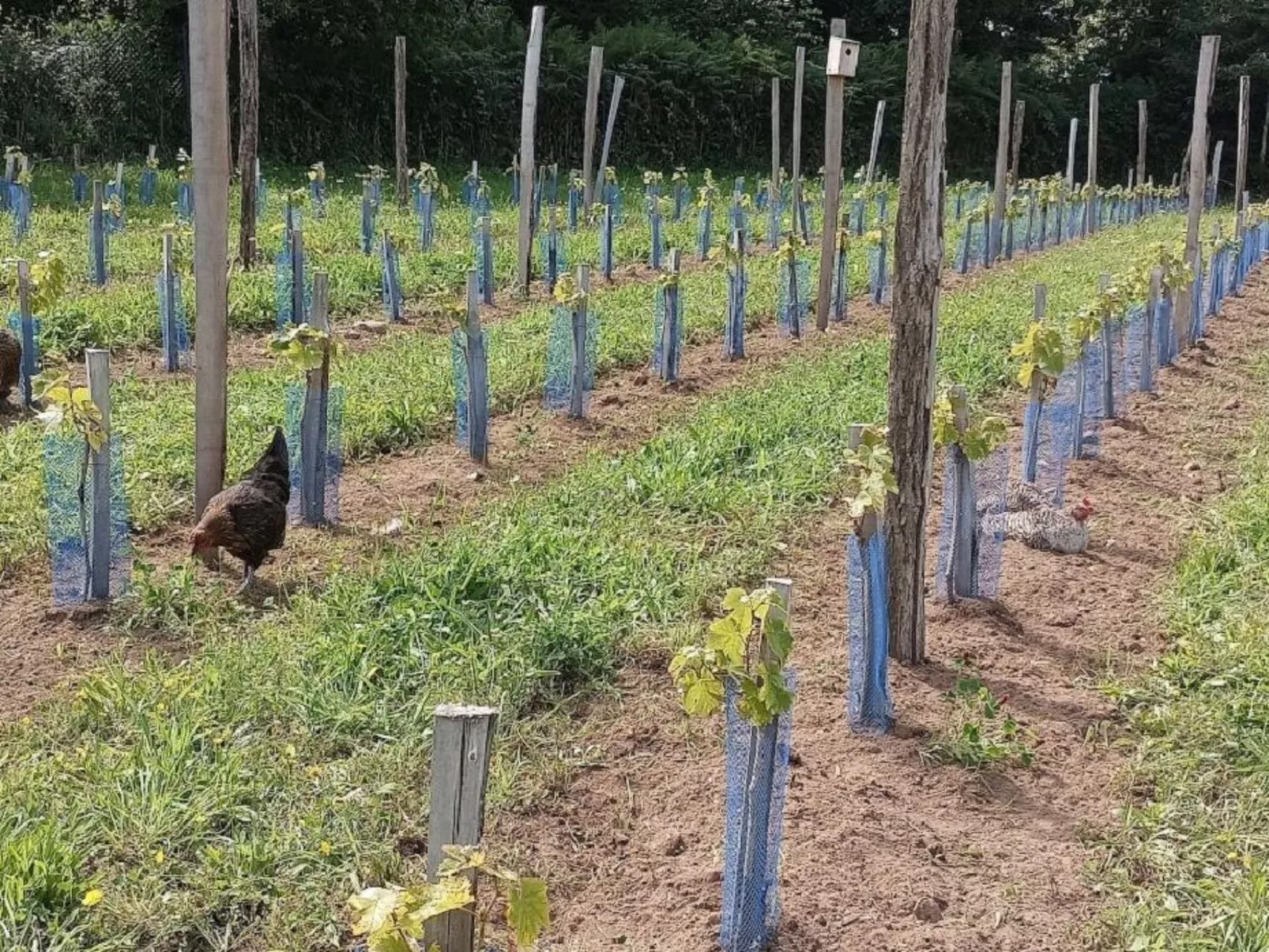 Hütte für vier Personen-Image-tags.info