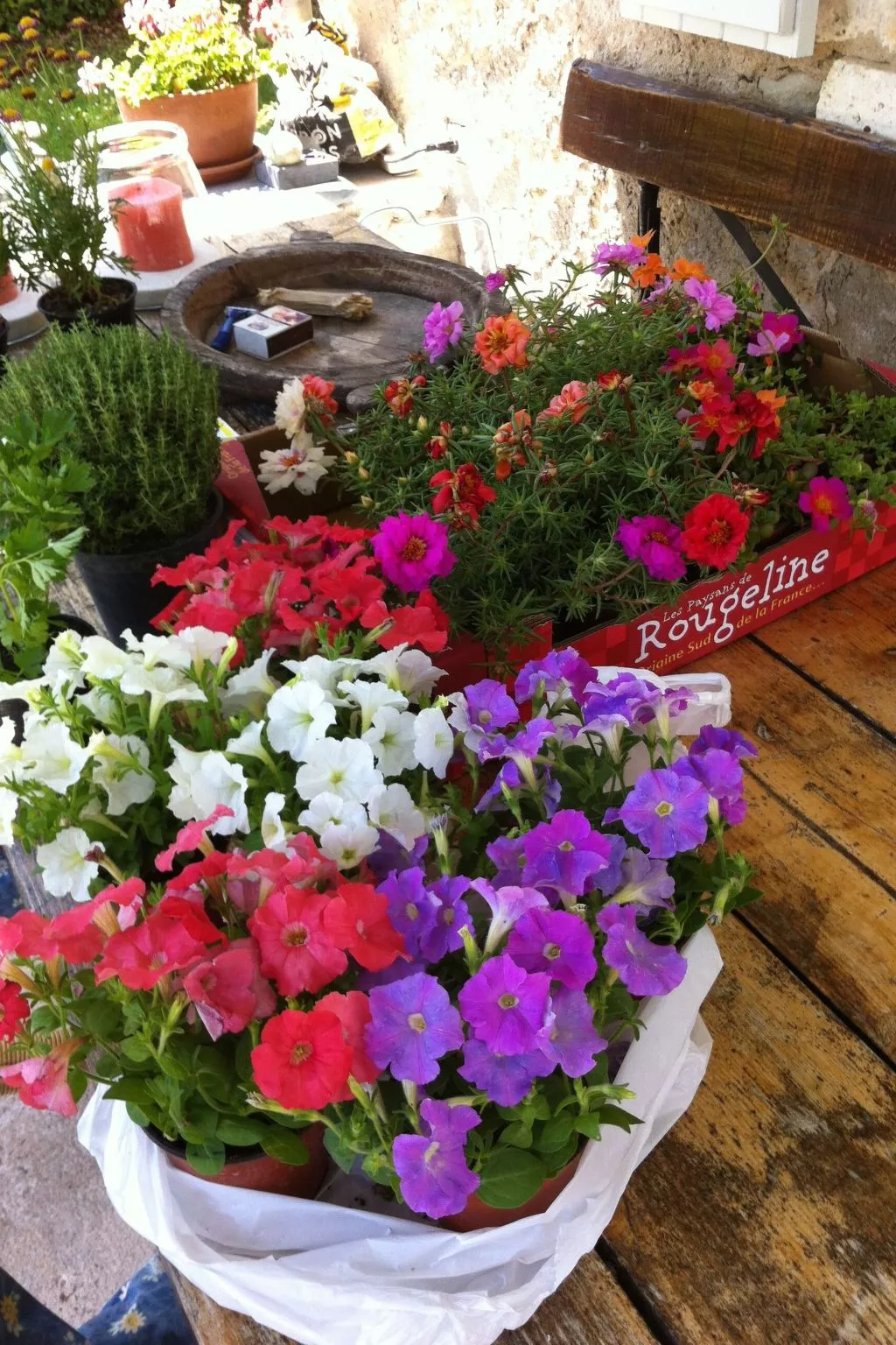 Swimmingpool, Garten, Aussicht, Stille, Kinder, Spielzeug-Image-tags.info