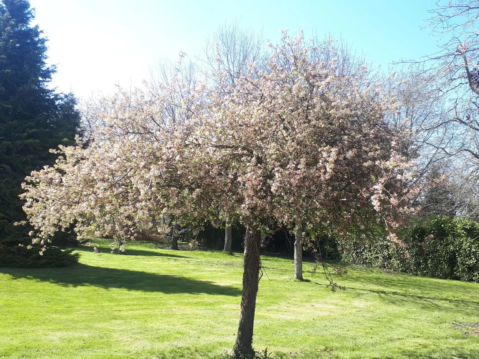Gite de bon air-Buiten