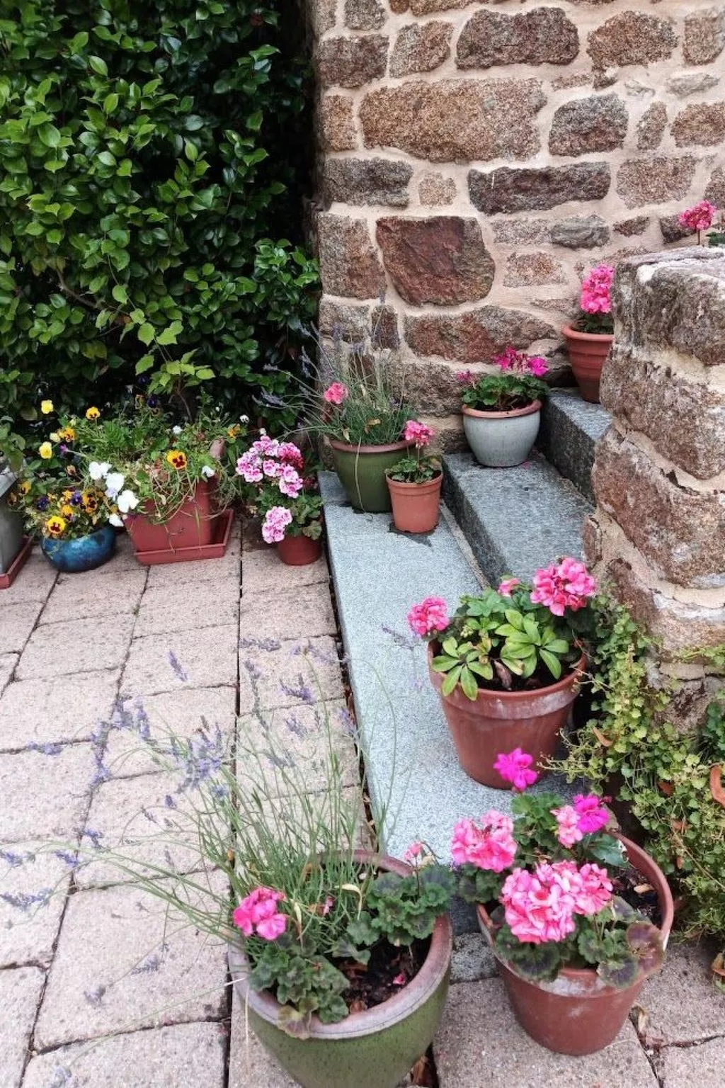 Villa La Côte du Chat -Familienhaus Bretagne-Image-tags.info