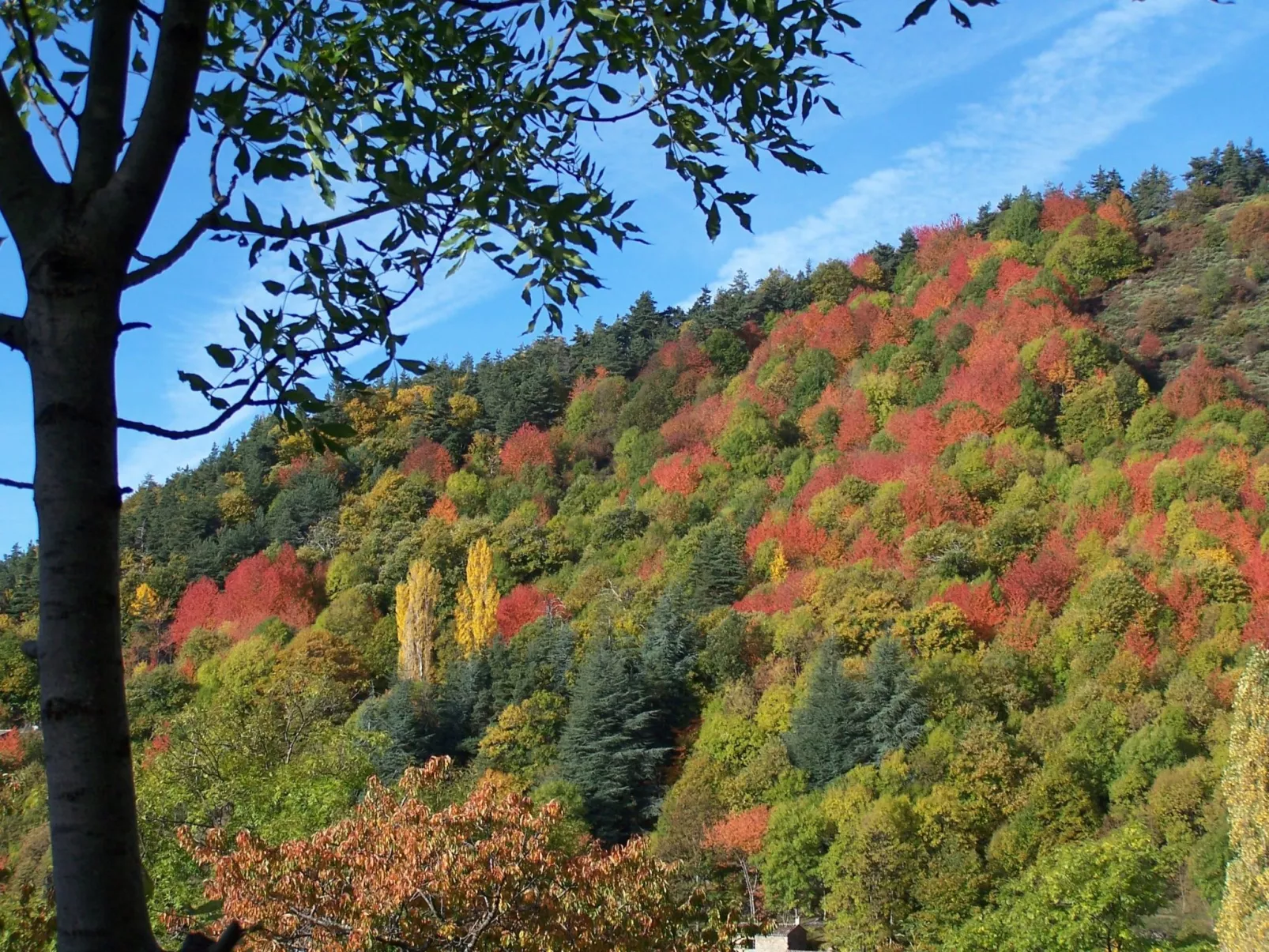 "Les Glycines"-Buiten