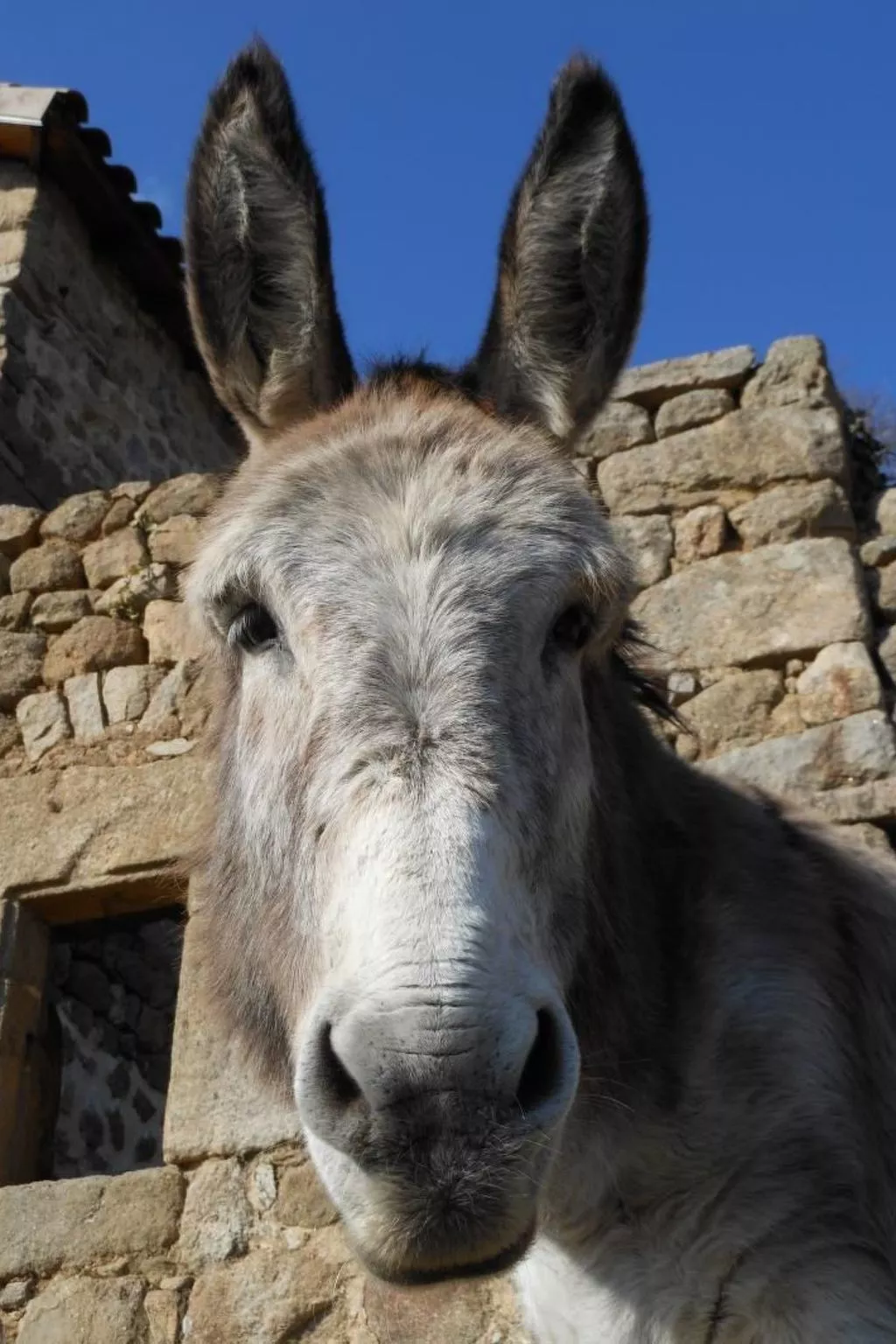 Gîte de Chapelèche Les Châtaigniers für 7 Pers.-Buiten