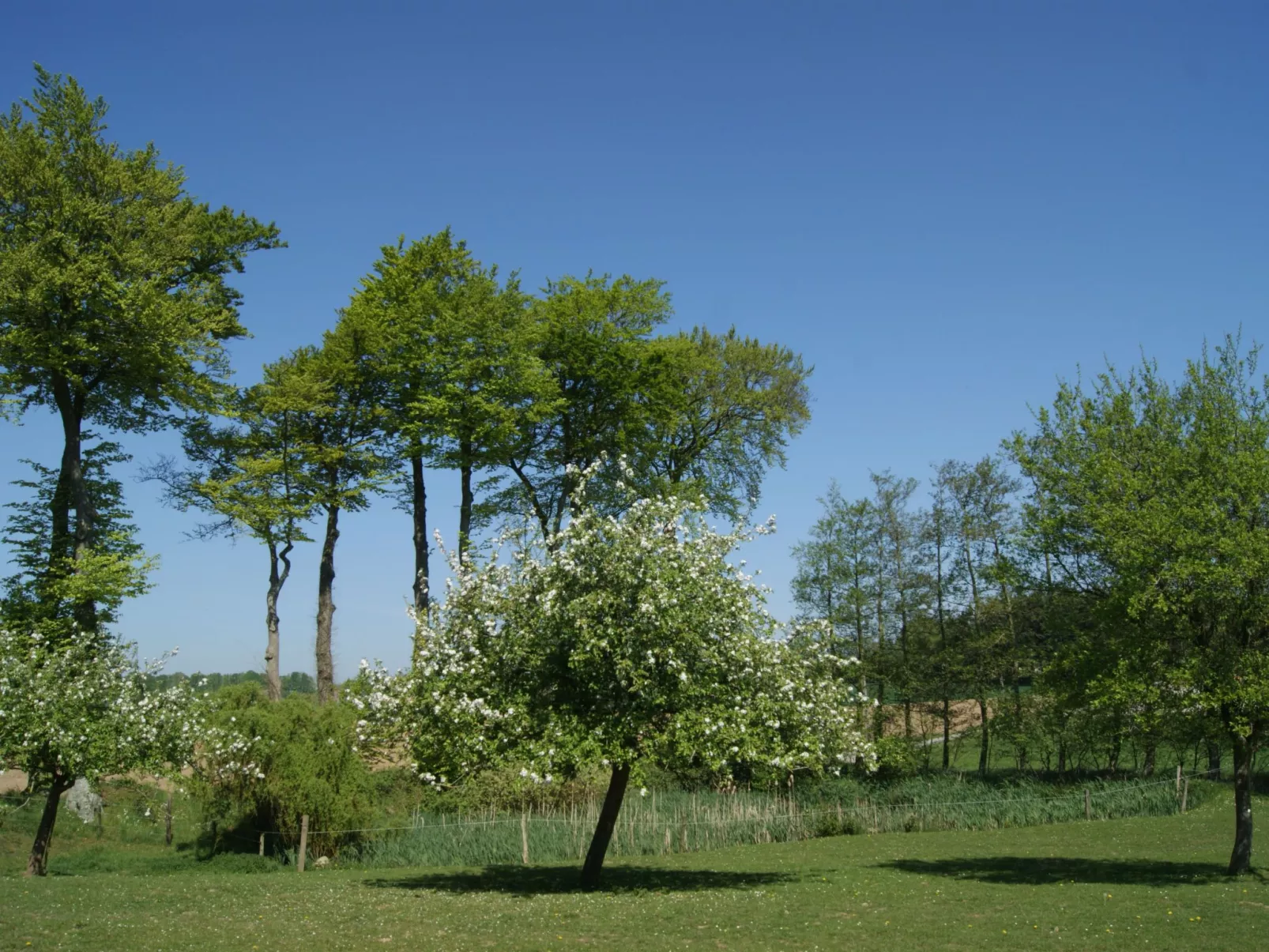 Charmante normannische Ferienwohnung Les chataigniers 2 Zimmer-Buiten
