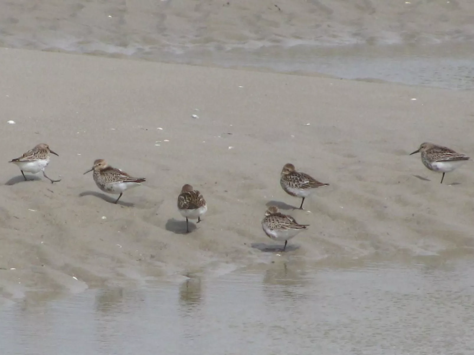 La Bergerie du Festel-Image-tags.info