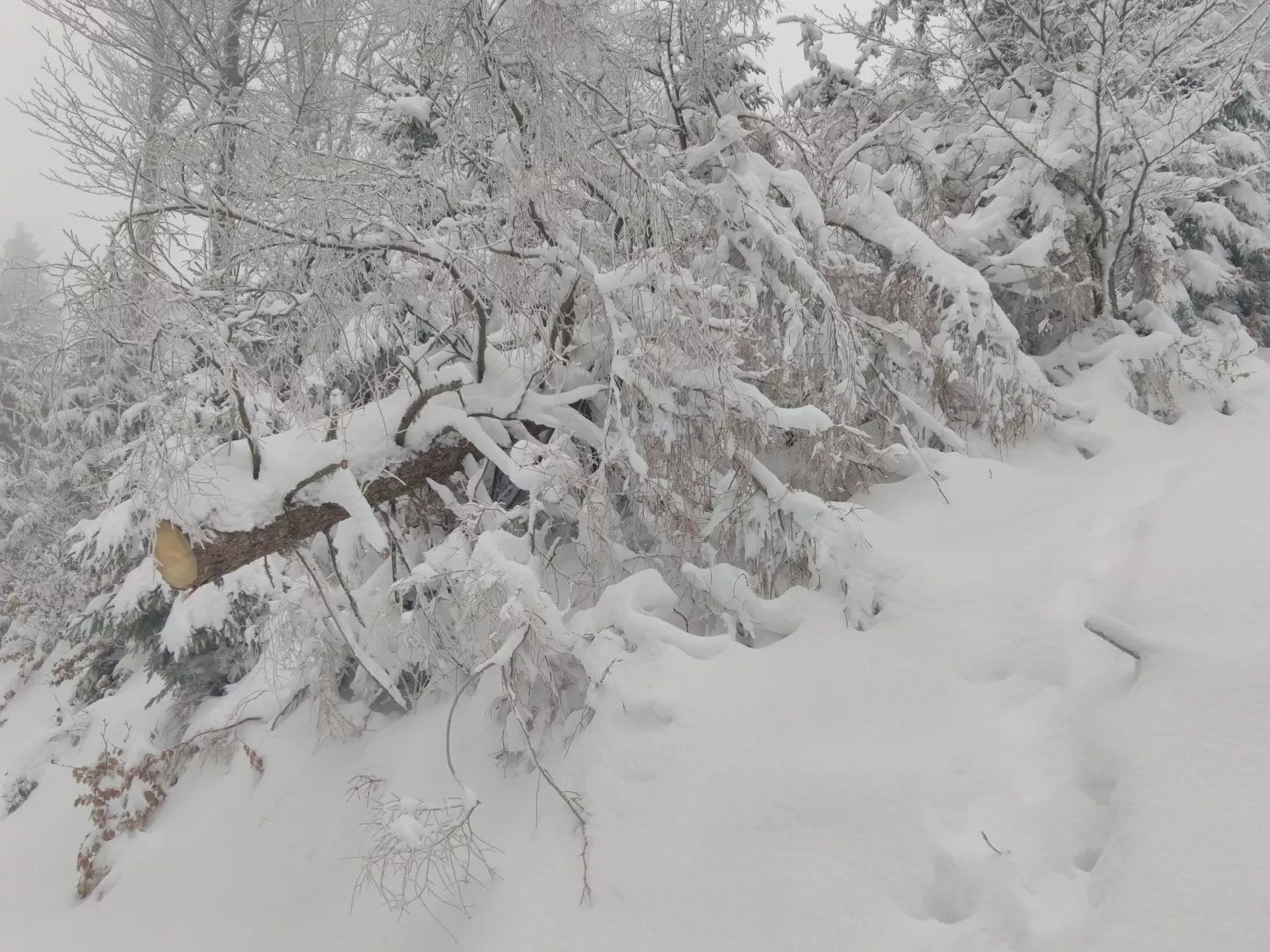 Standing Mobilheim 6 Plätze 2 Bäder-Buiten