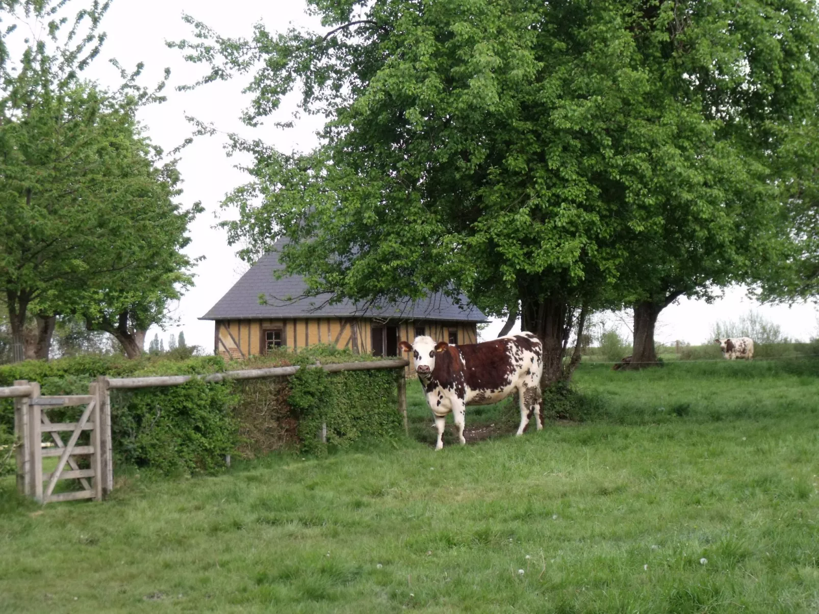 "La Petite Cauvinière"-Buiten
