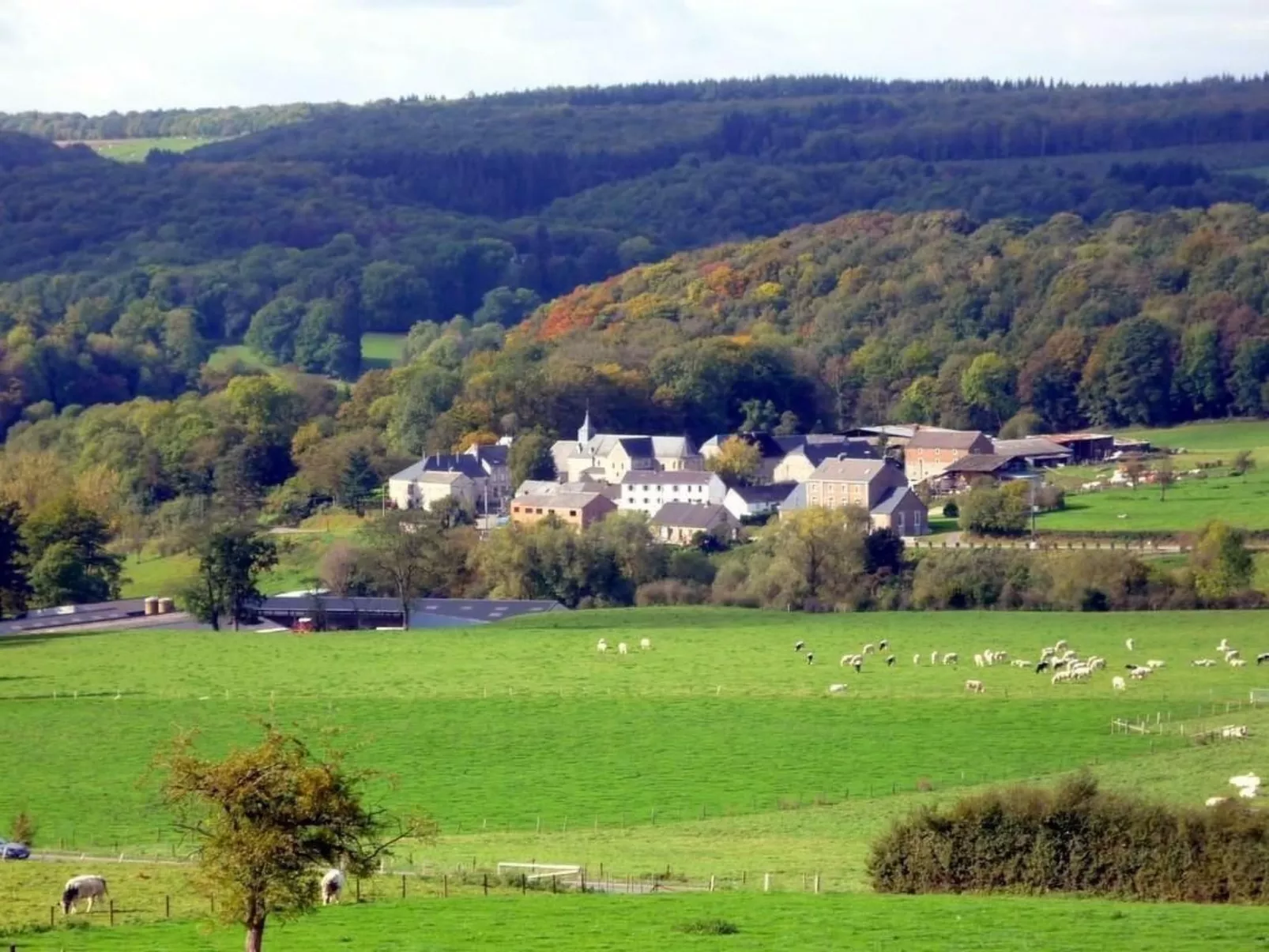 Ardennen Ferienhaus 5 Zimmer 5 Bad 14 Pers Zugang Chaisards-Buiten