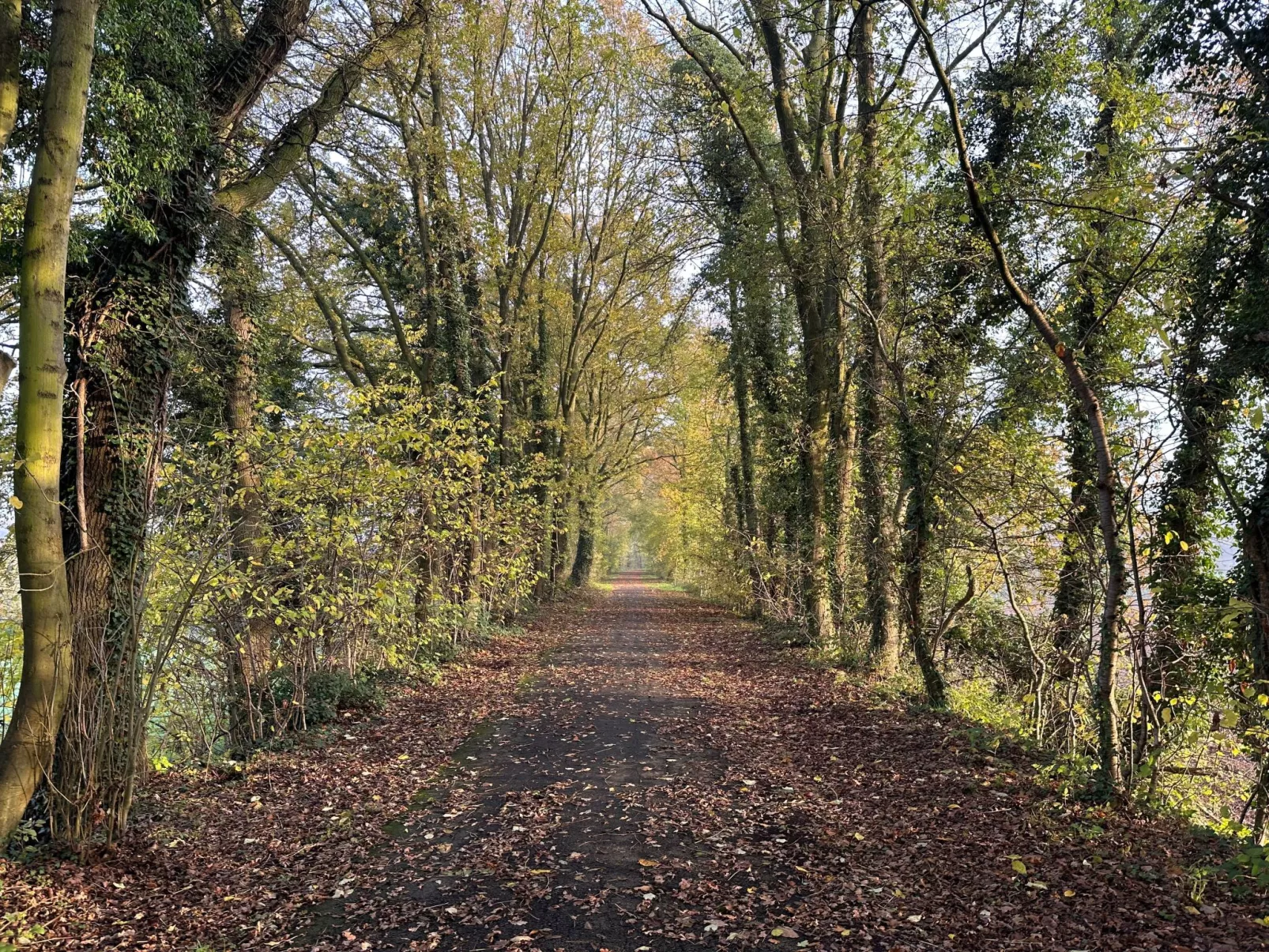 't Coureurke - Buiten