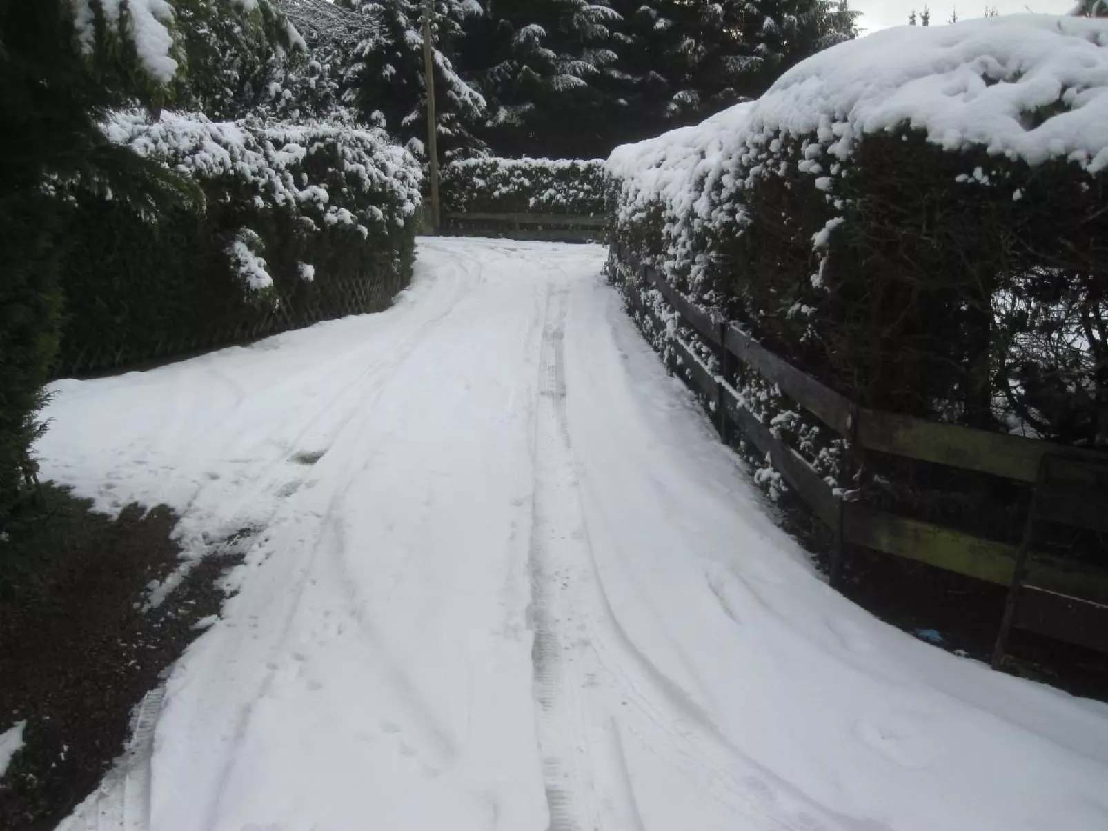 Caro-Image-tags.info