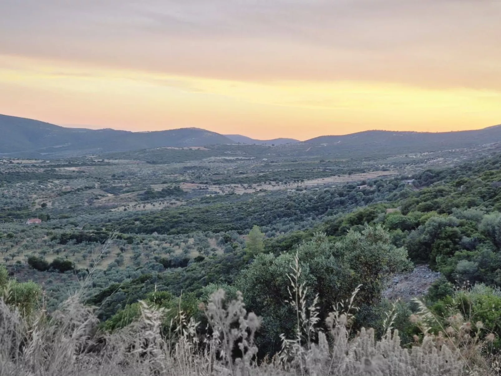 "Villa Newlands" - Pool, Meer und Inseln-Buiten