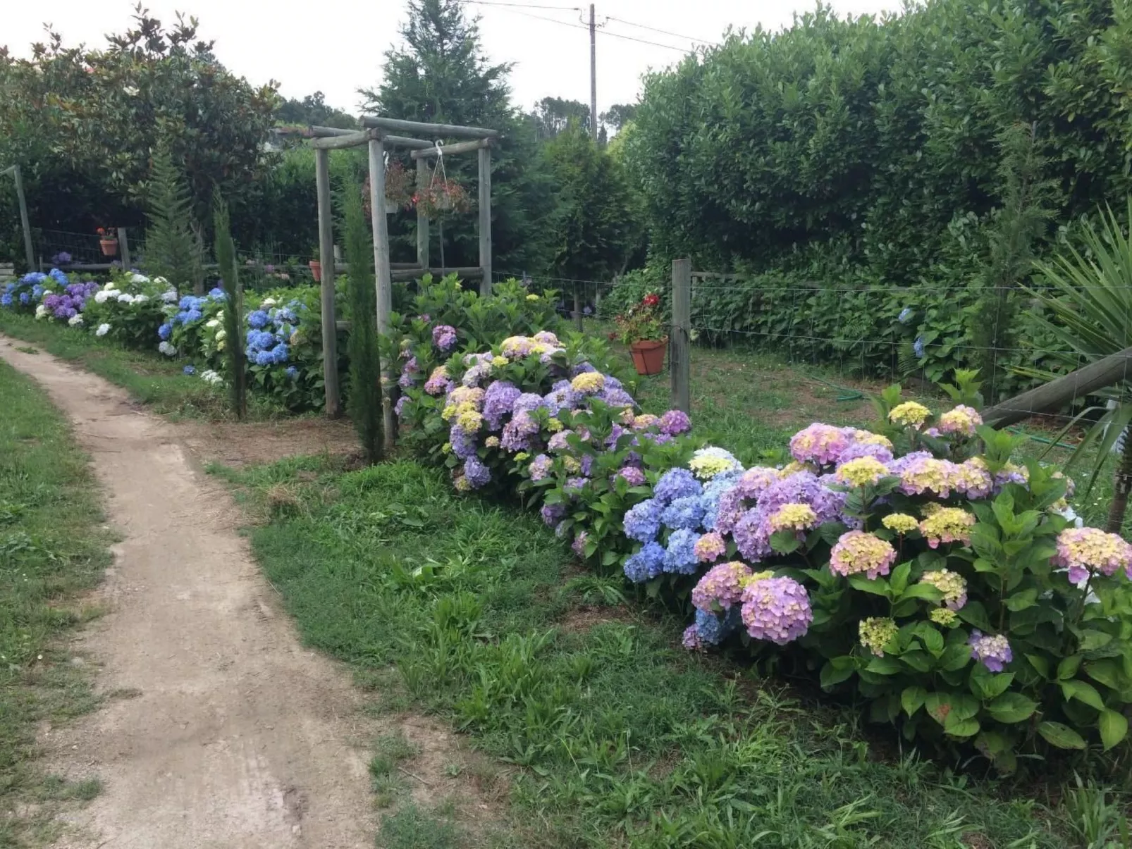 Mit Blick auf das Wasser-Buiten