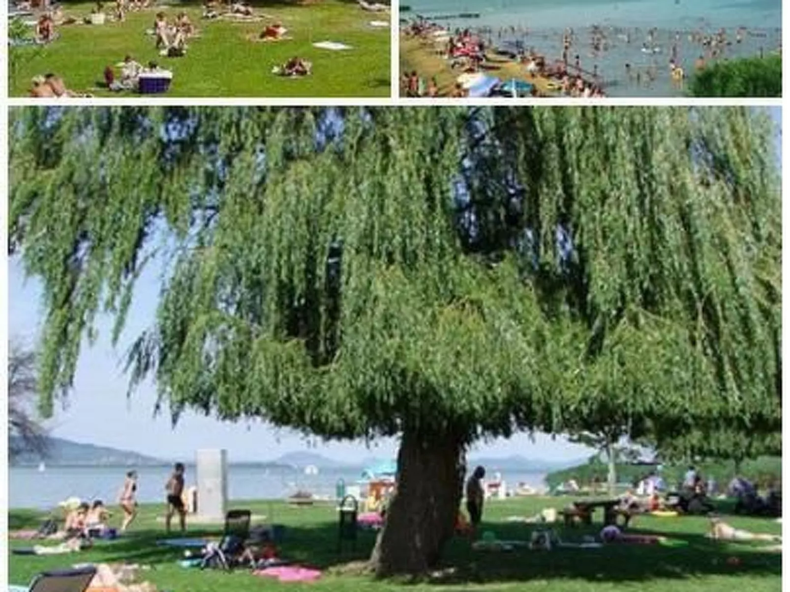 Appartement mit Terrasse-Image-tags.info