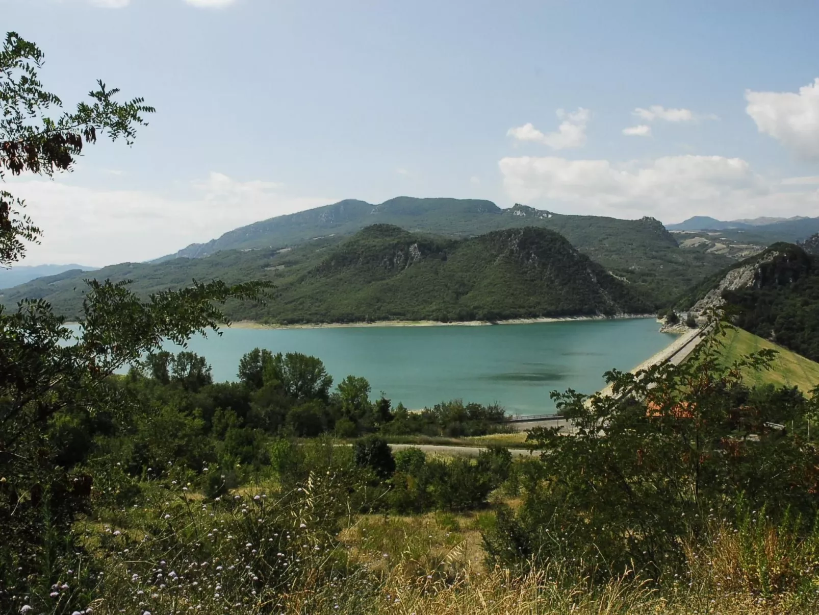 Das Maulbeerbaum-Apartment-Buiten
