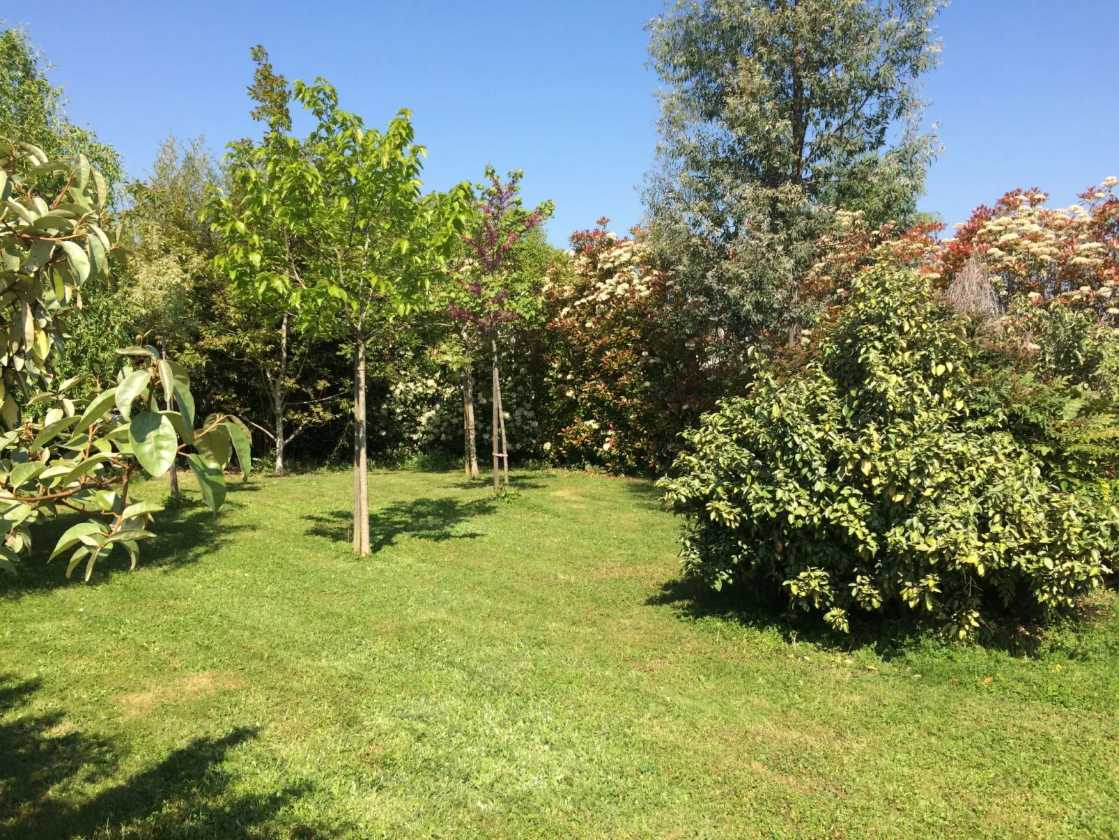 Landhaus La Villa Bolero-Image-tags.info