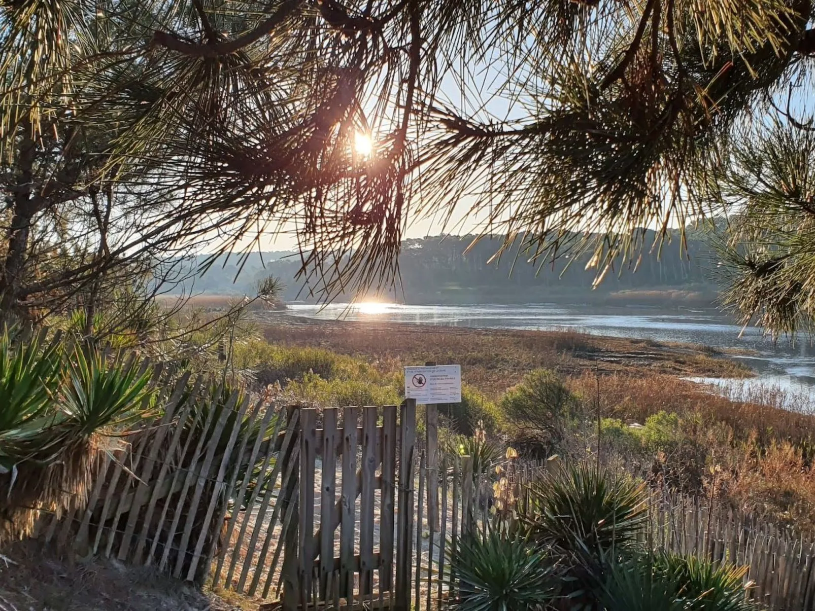 Villa Cocoon Contis-plage 1 chambre-Buiten