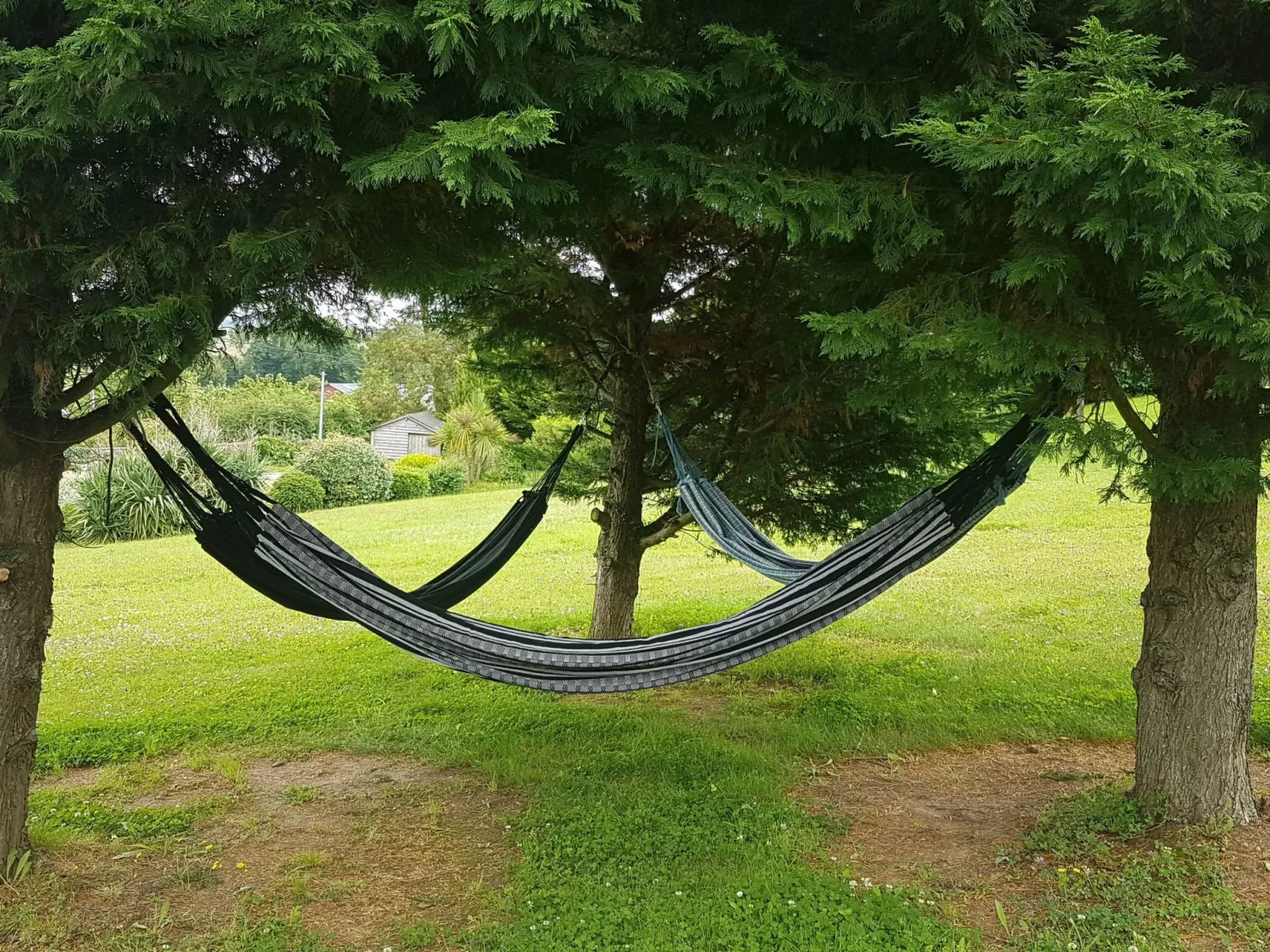 Le domaine des roseraies, gîte les roseraies-Buiten