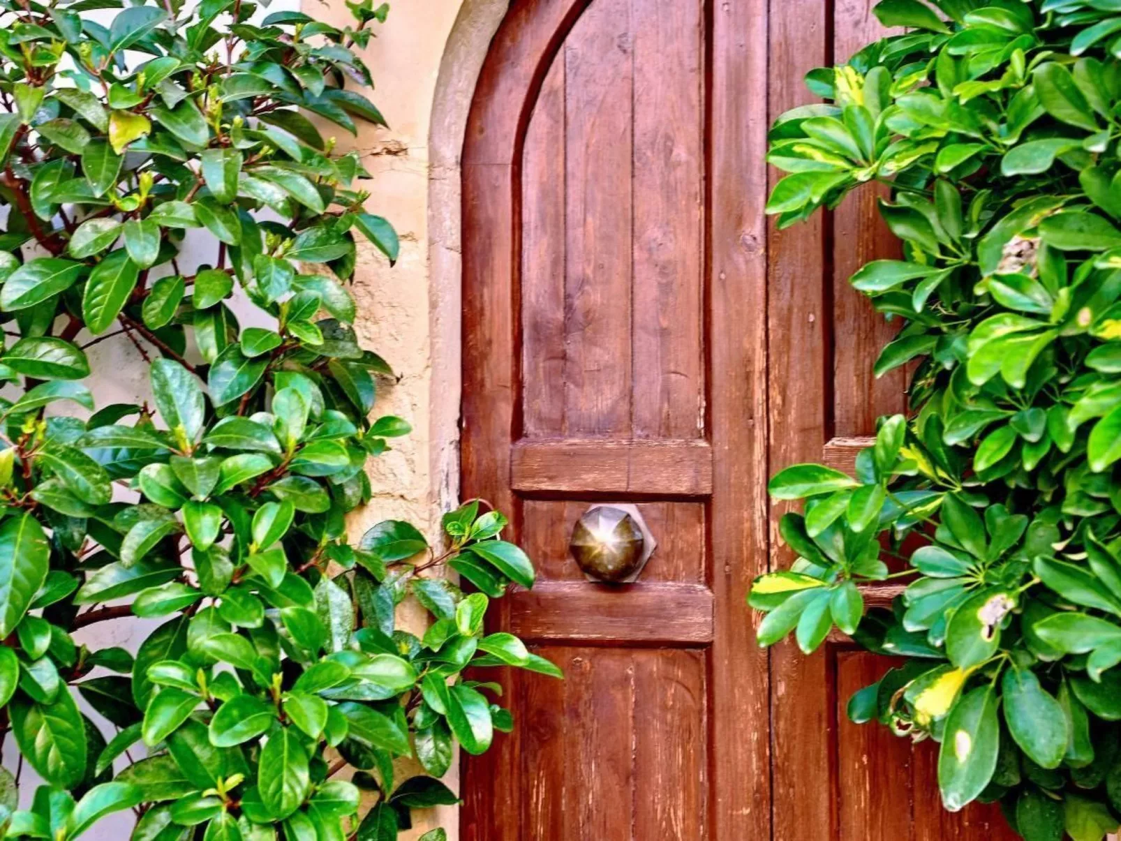 Villa Manthos Traditionelles Kretisches Herrenhaus-Buiten